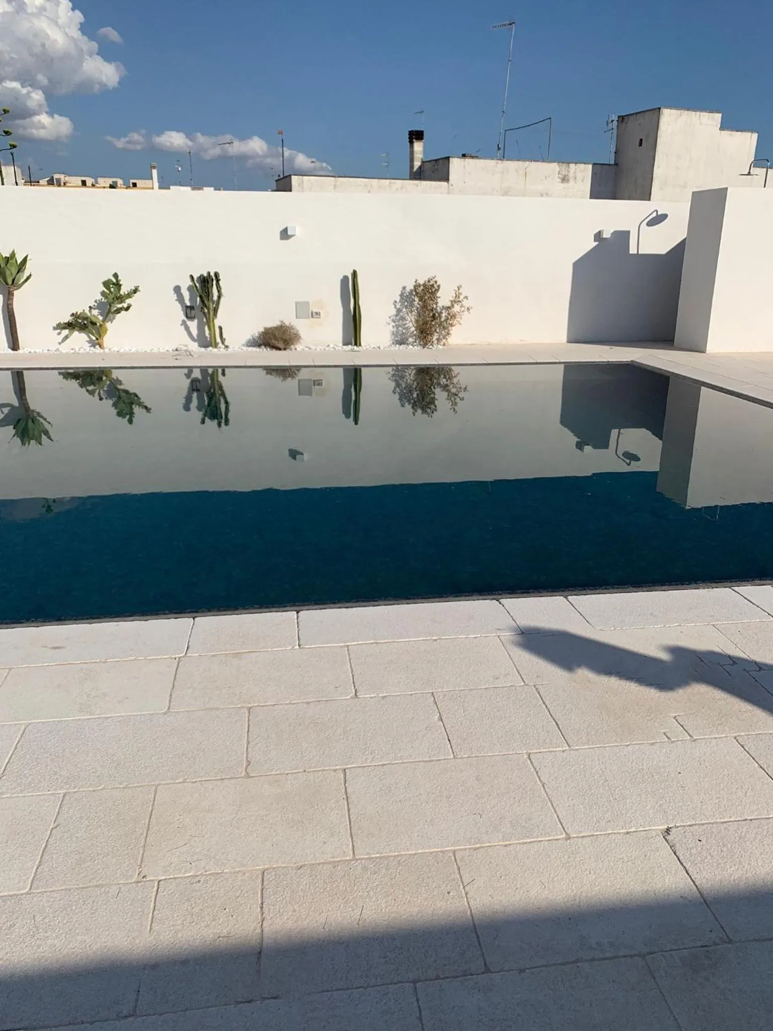 Swimming pool in TS Residence