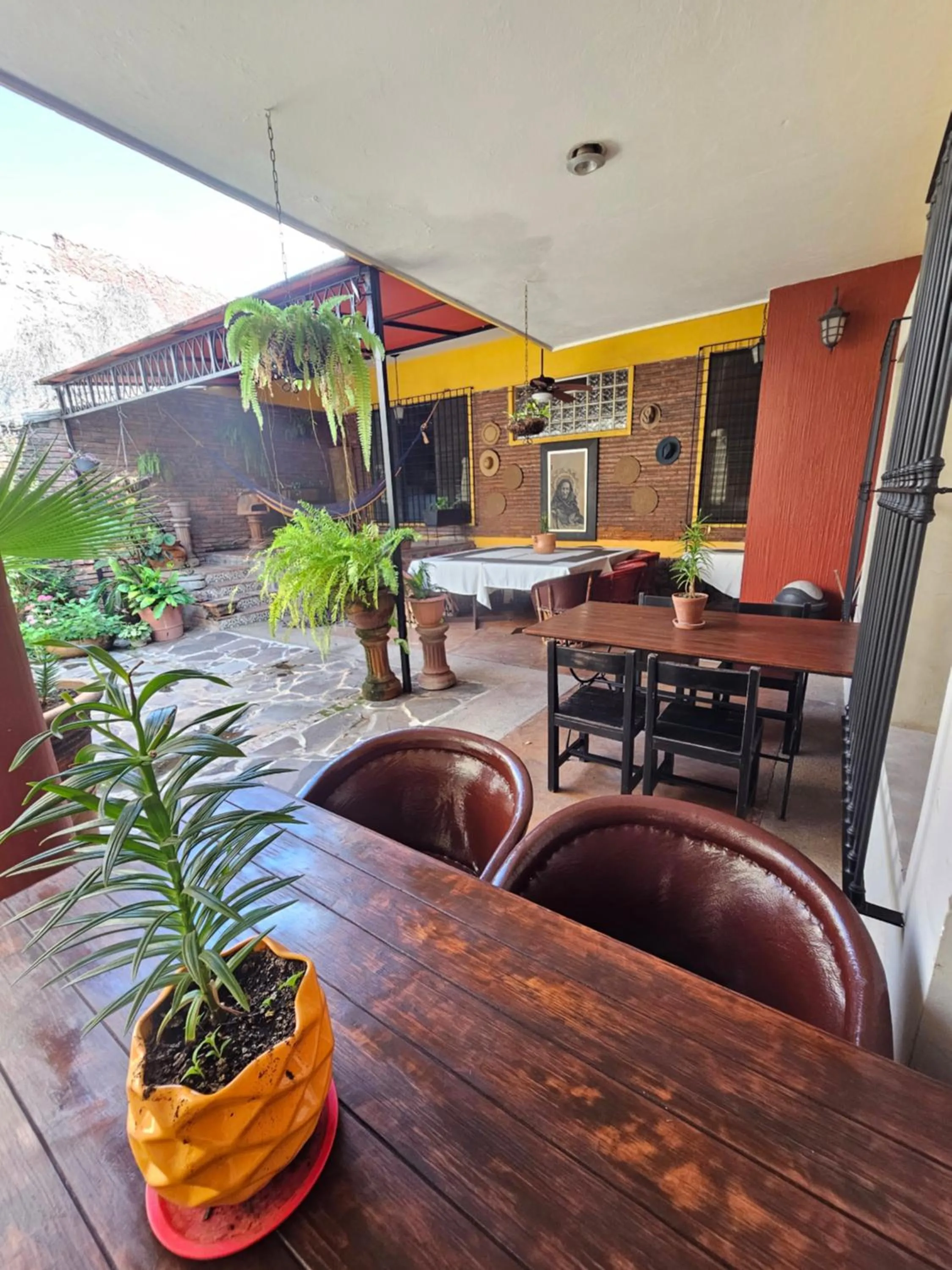 Patio in Hotel Art Gallery Casona de los Milagros