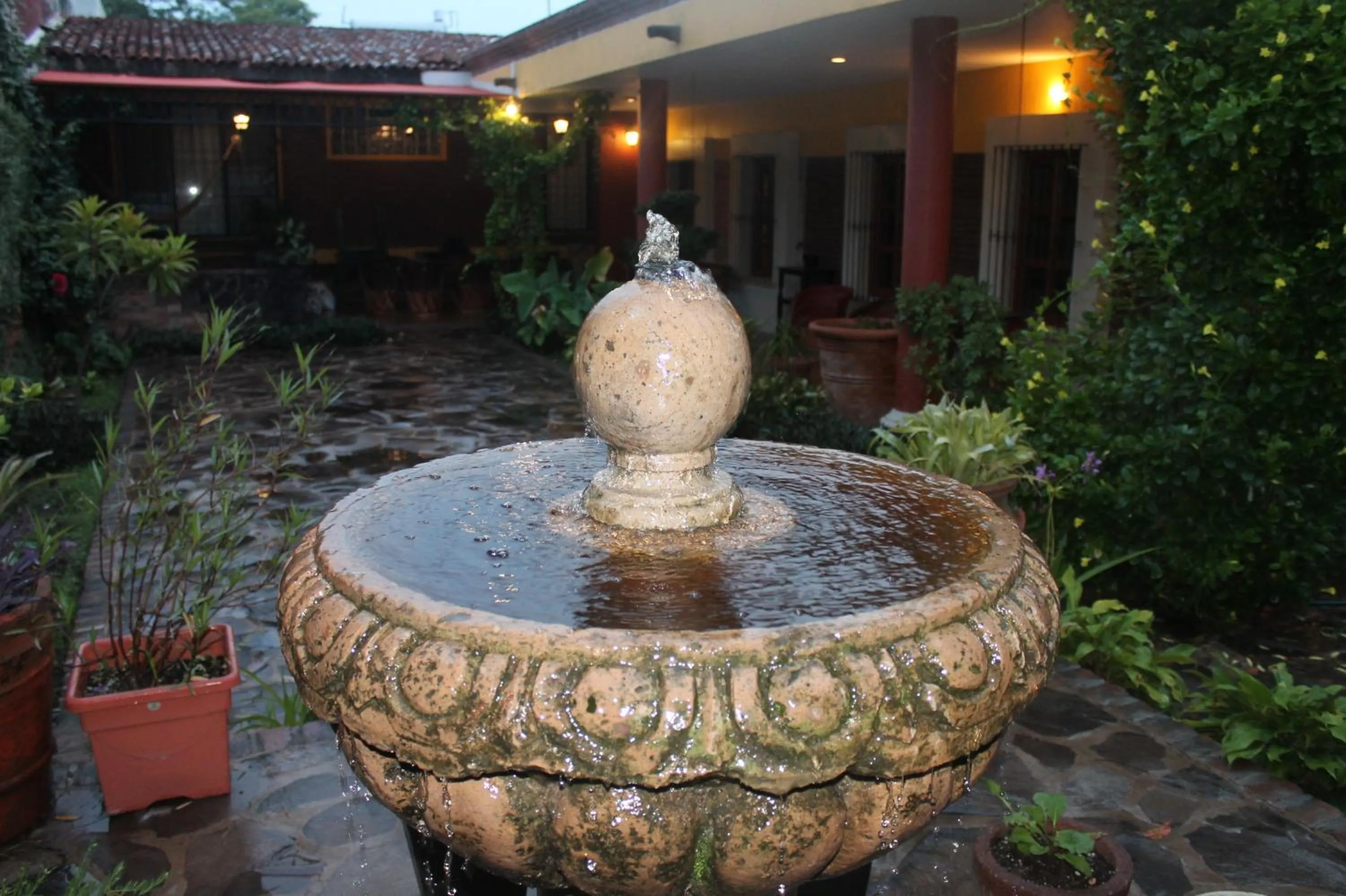 Garden in Hotel Art Gallery Casona de los Milagros