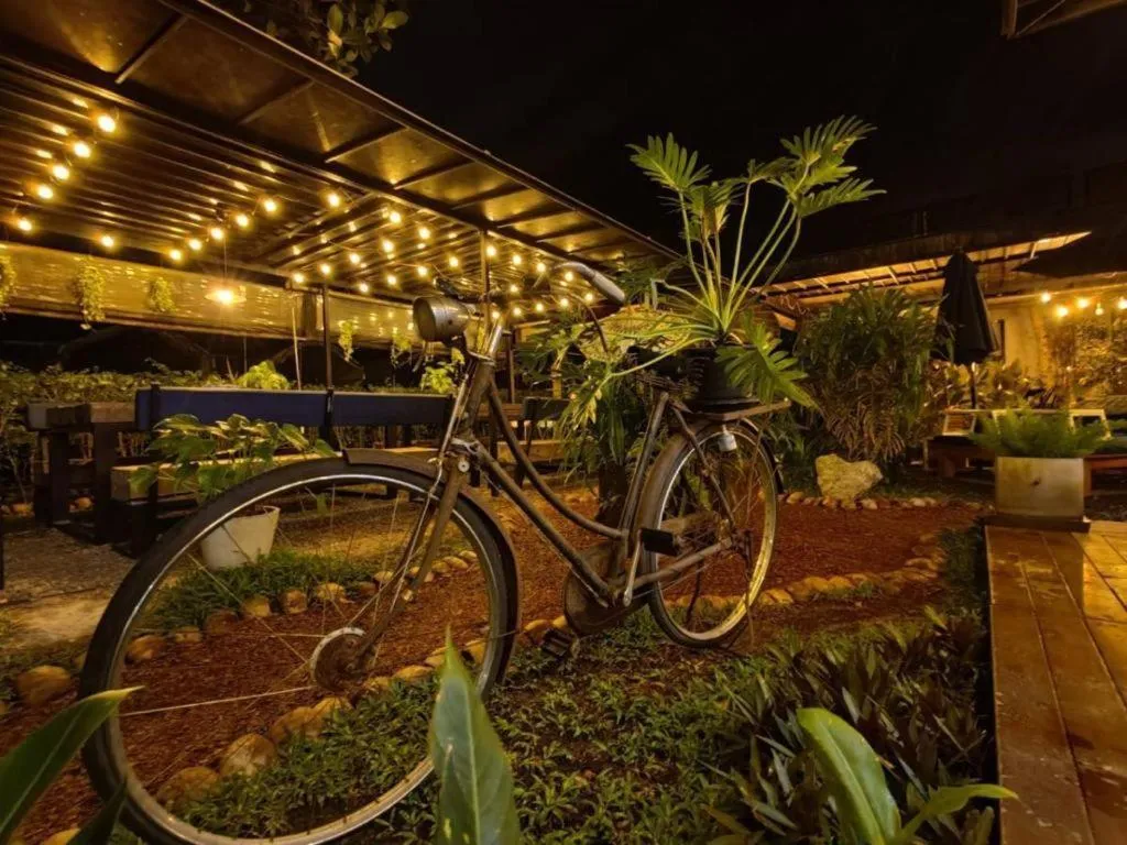 Restaurant/places to eat in The Willow Phangan