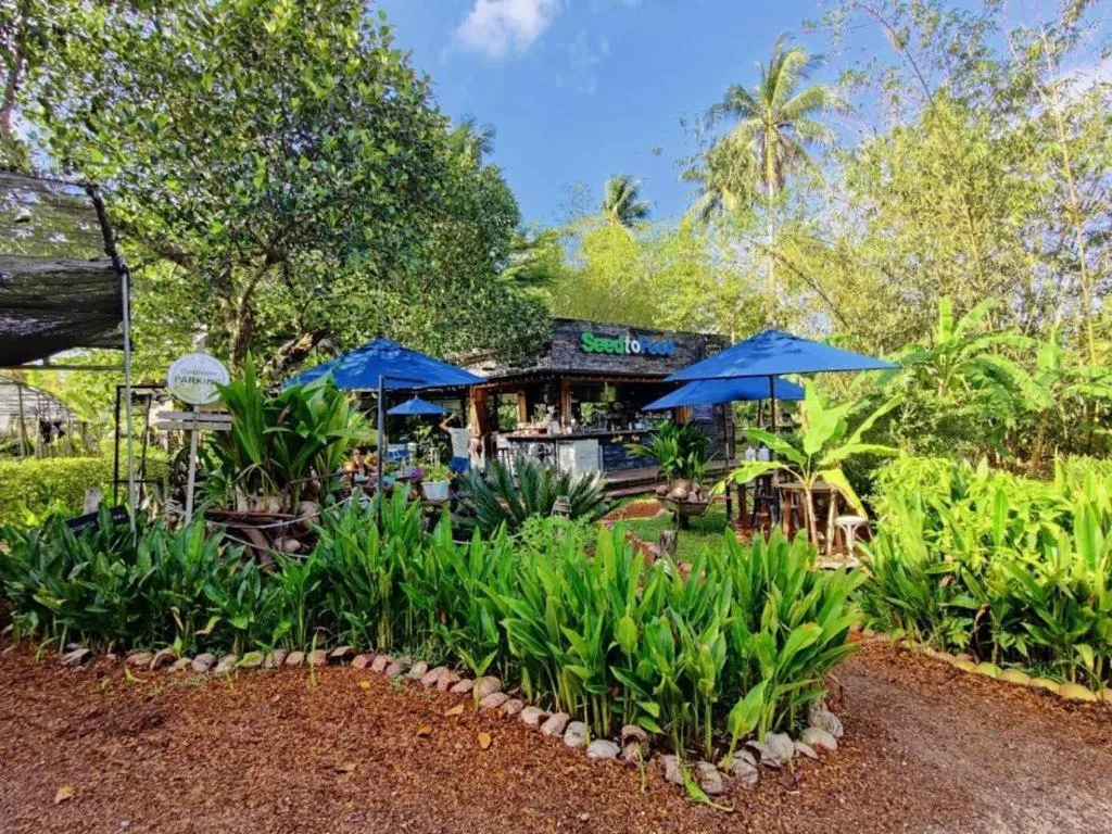 Restaurant/places to eat in The Willow Phangan