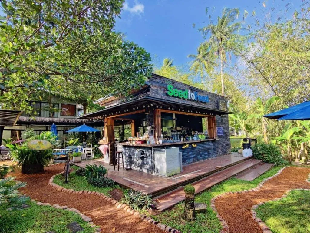 Restaurant/places to eat in The Willow Phangan