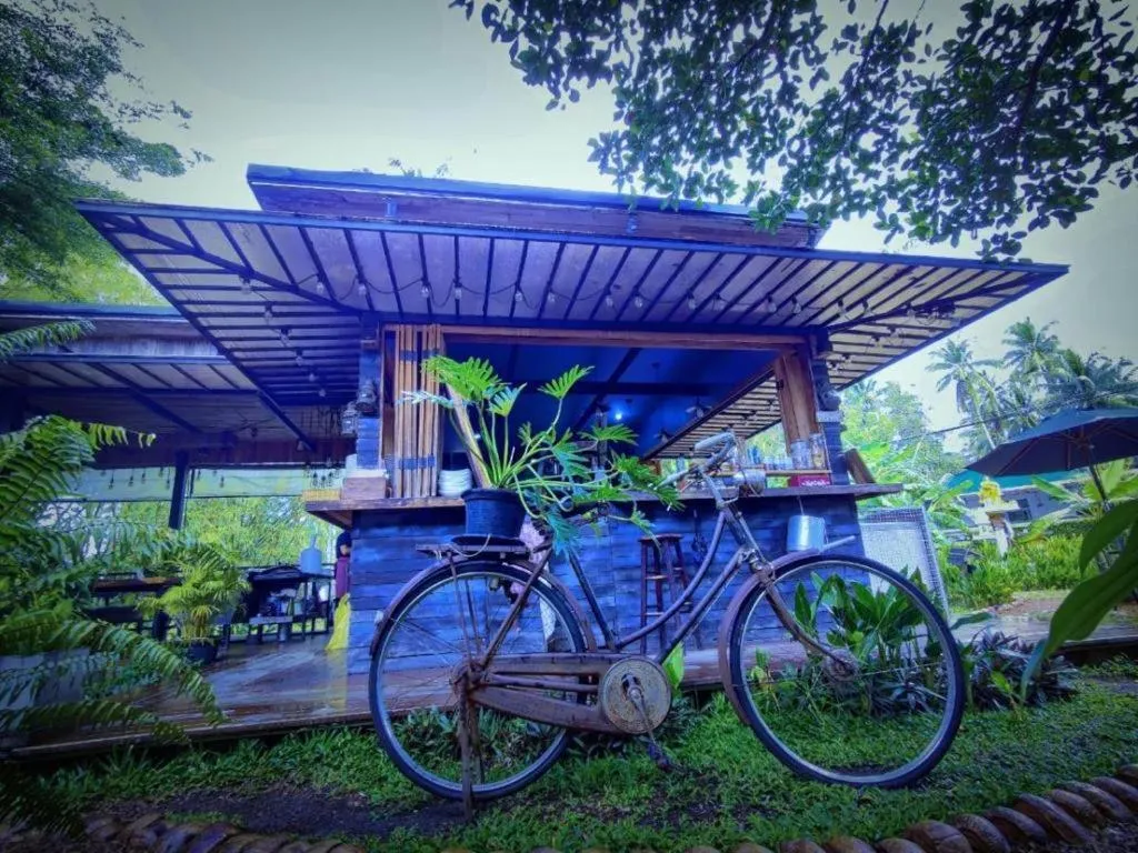 Restaurant/places to eat in The Willow Phangan