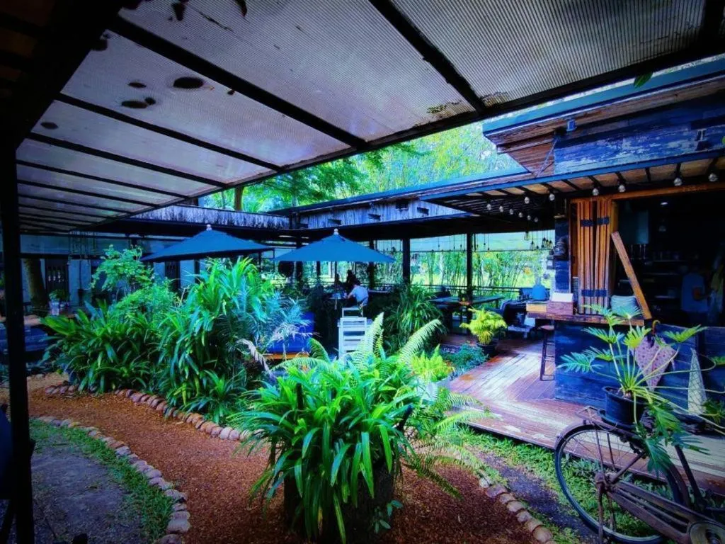 Restaurant/places to eat in The Willow Phangan