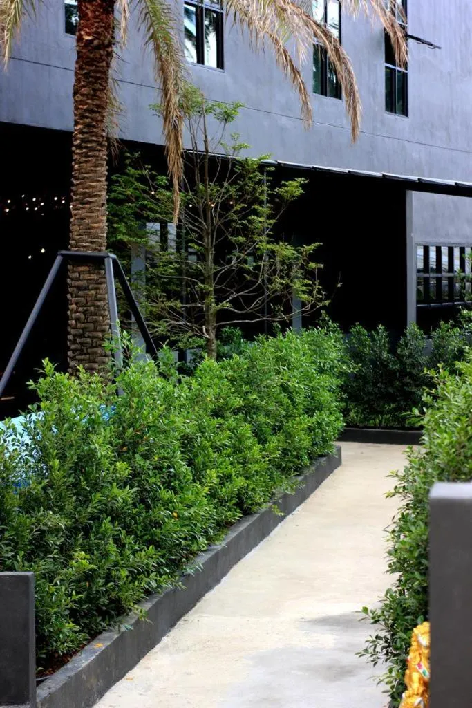 Property building in The Willow Phangan