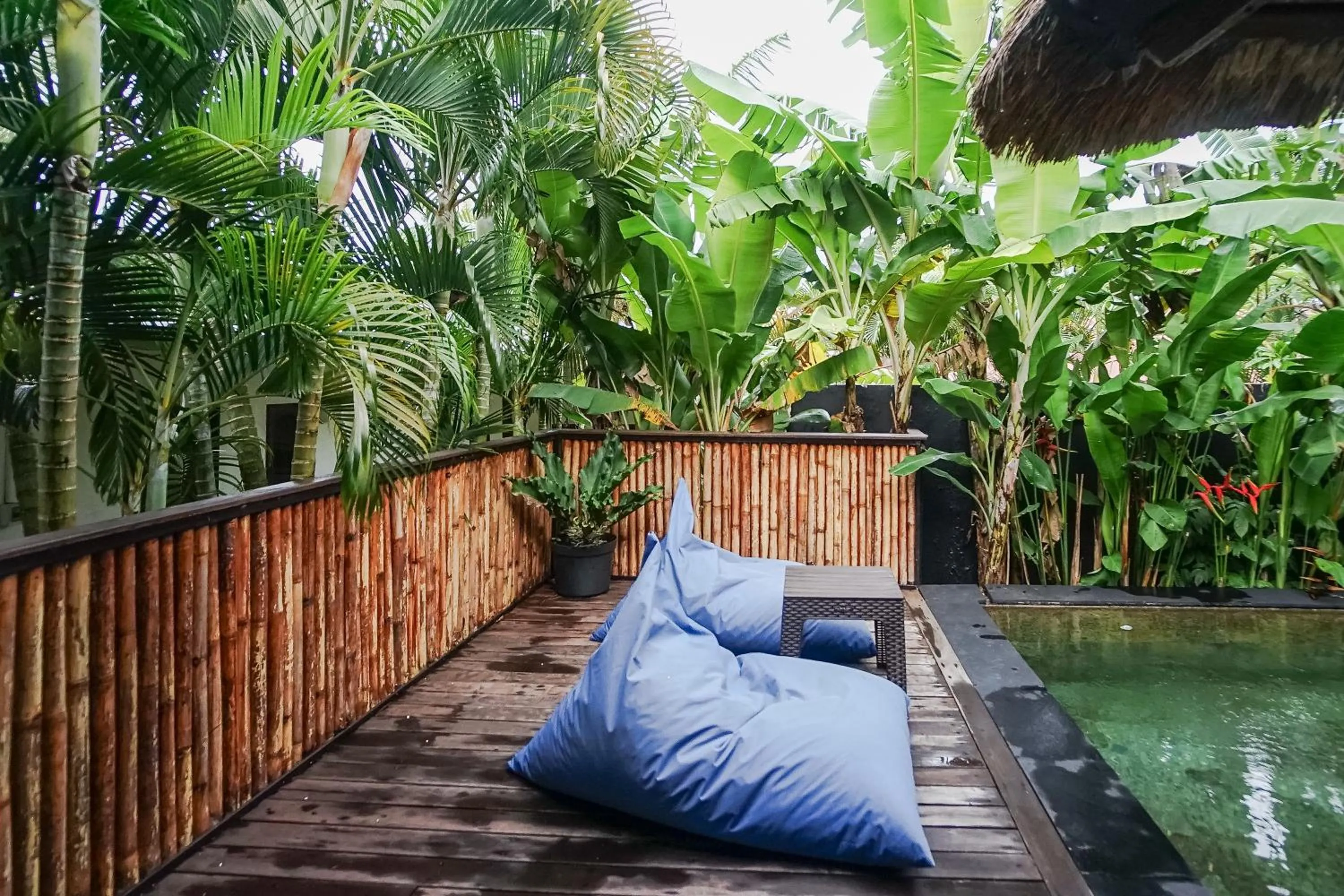 Swimming pool in Kampung 168