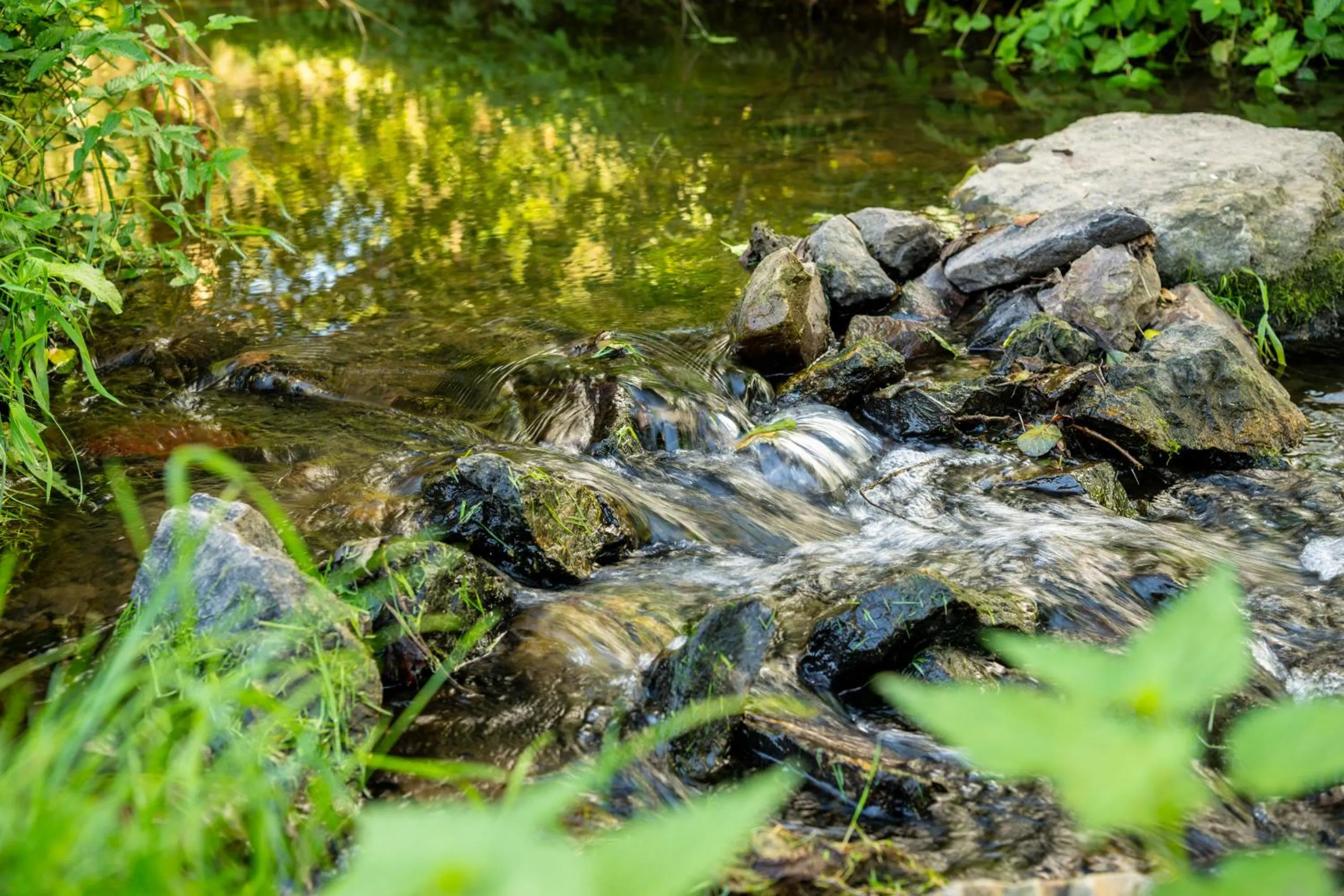 River view in Weinhotel Restaurant Klostermühle