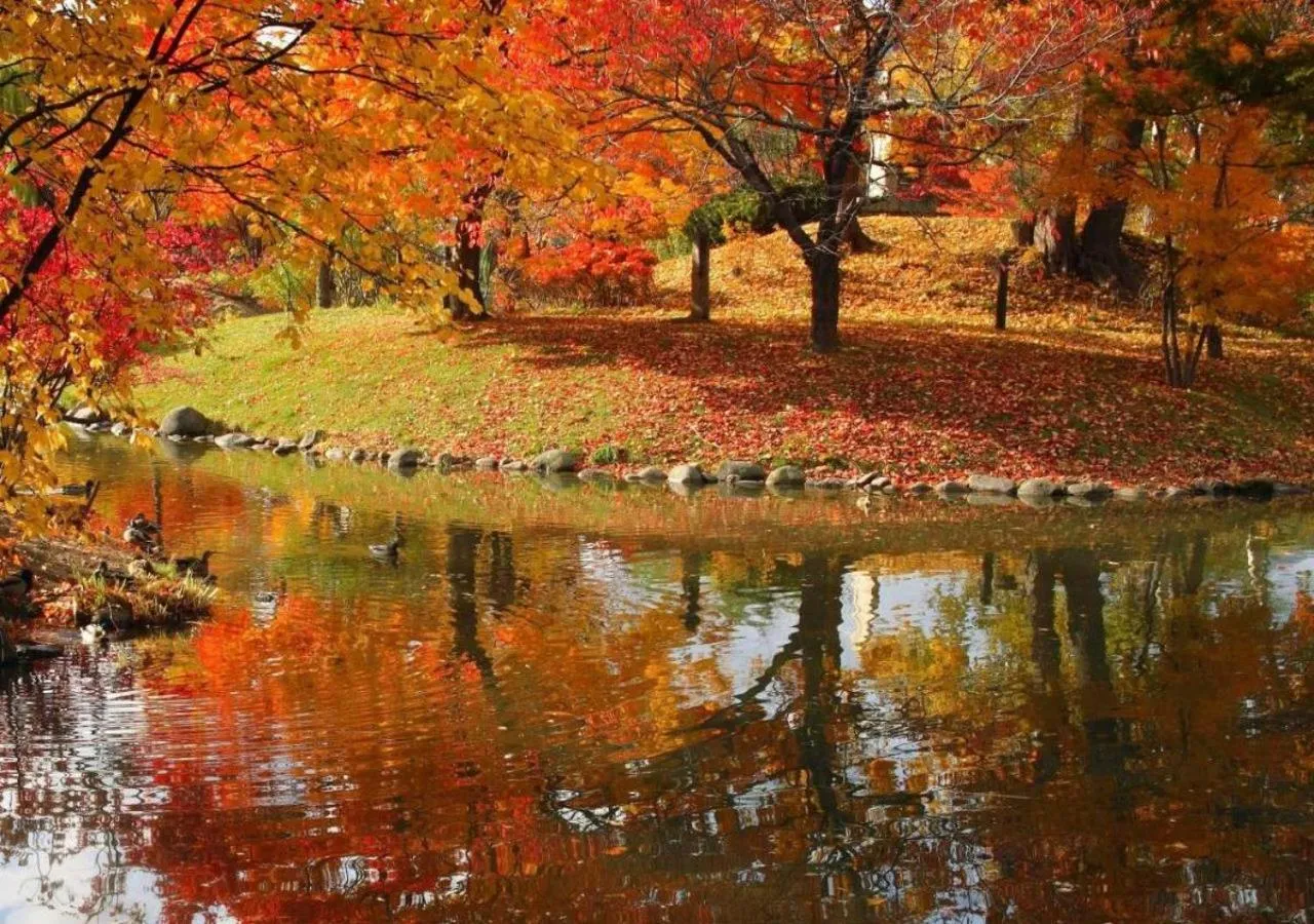 Nearby landmark in Business Inn Norte