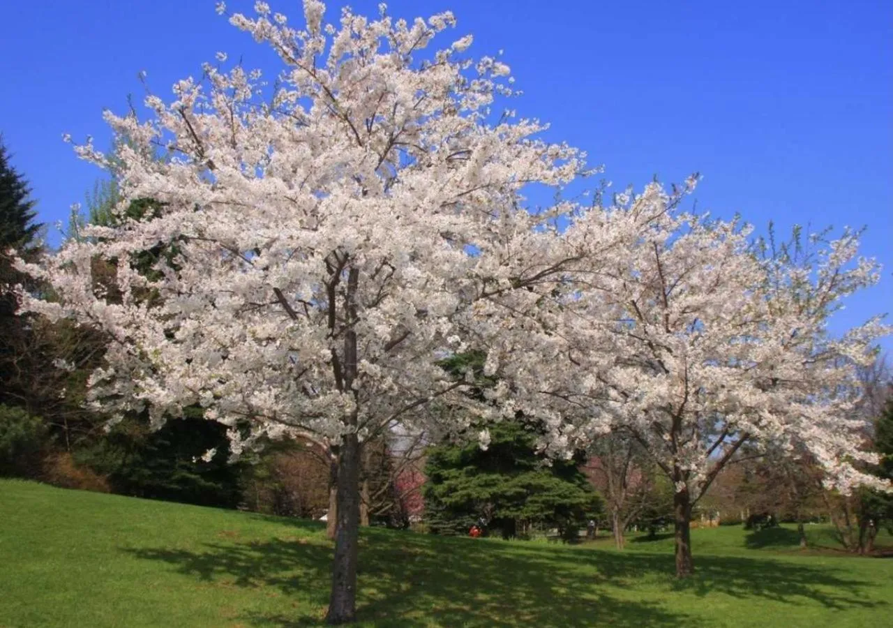 Nearby landmark in Business Inn Norte
