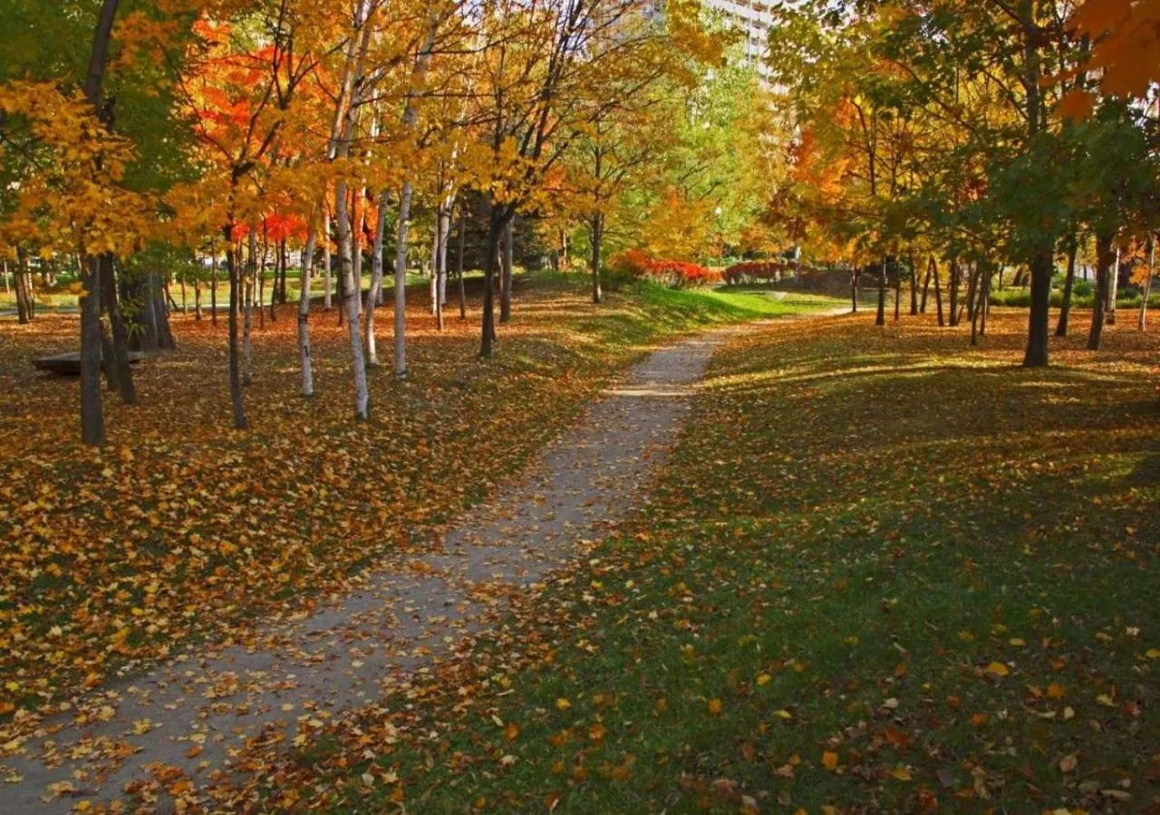 Nearby landmark in Business Inn Norte