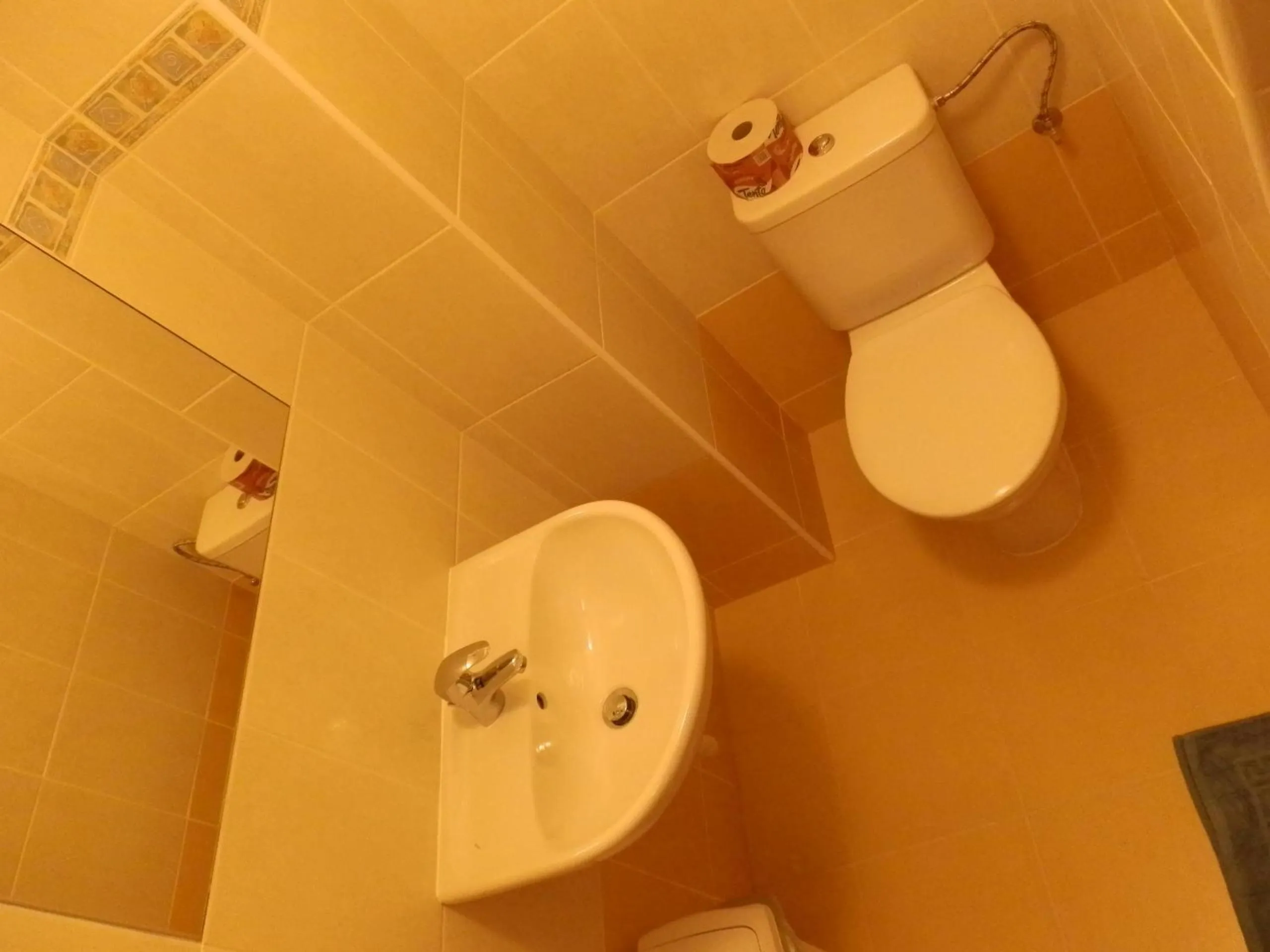 Toilet in Hotel Gól Prostějov