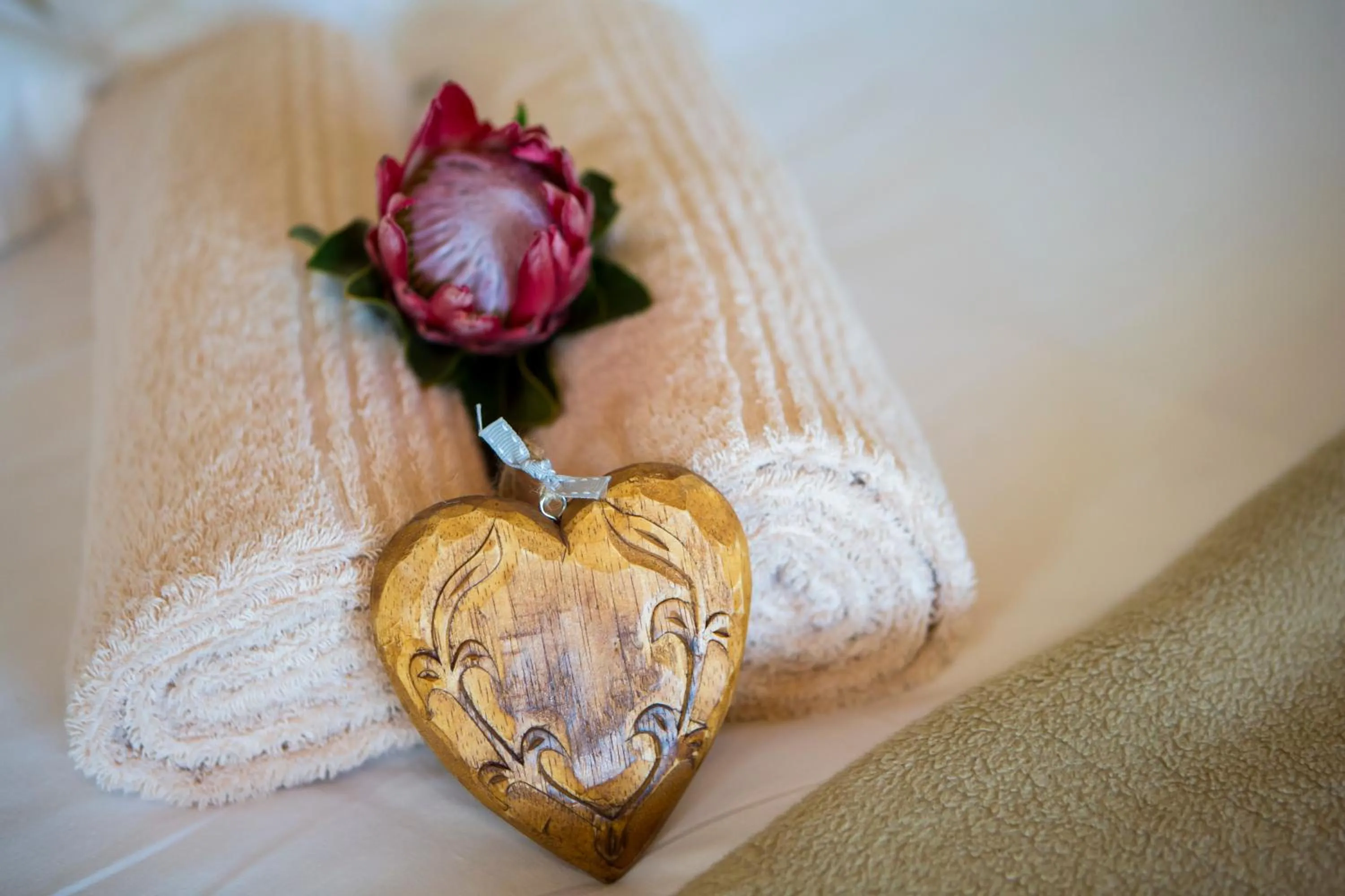 Skilpadvlei Wine Farm