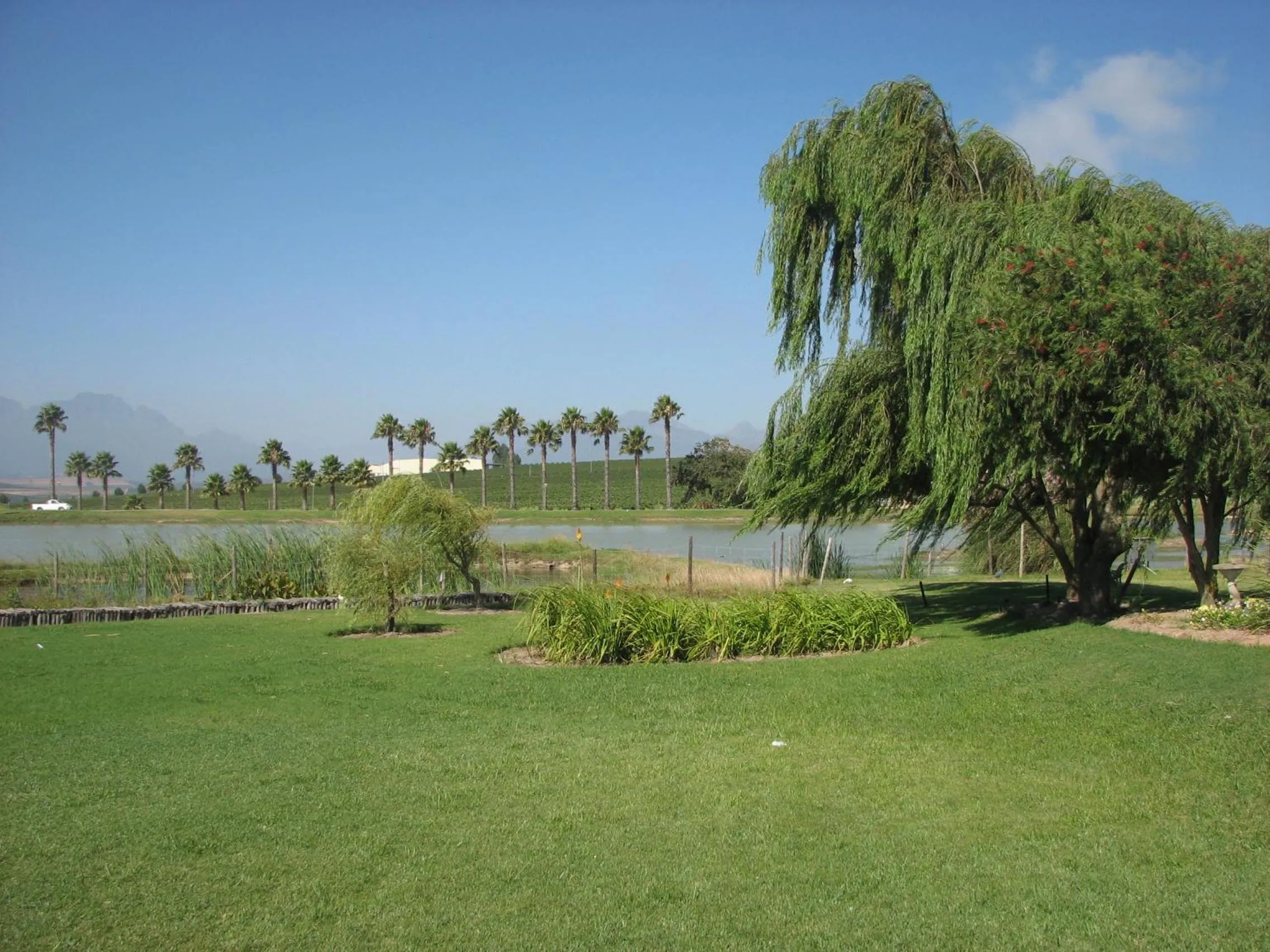 Lake view in Skilpadvlei Wine Farm