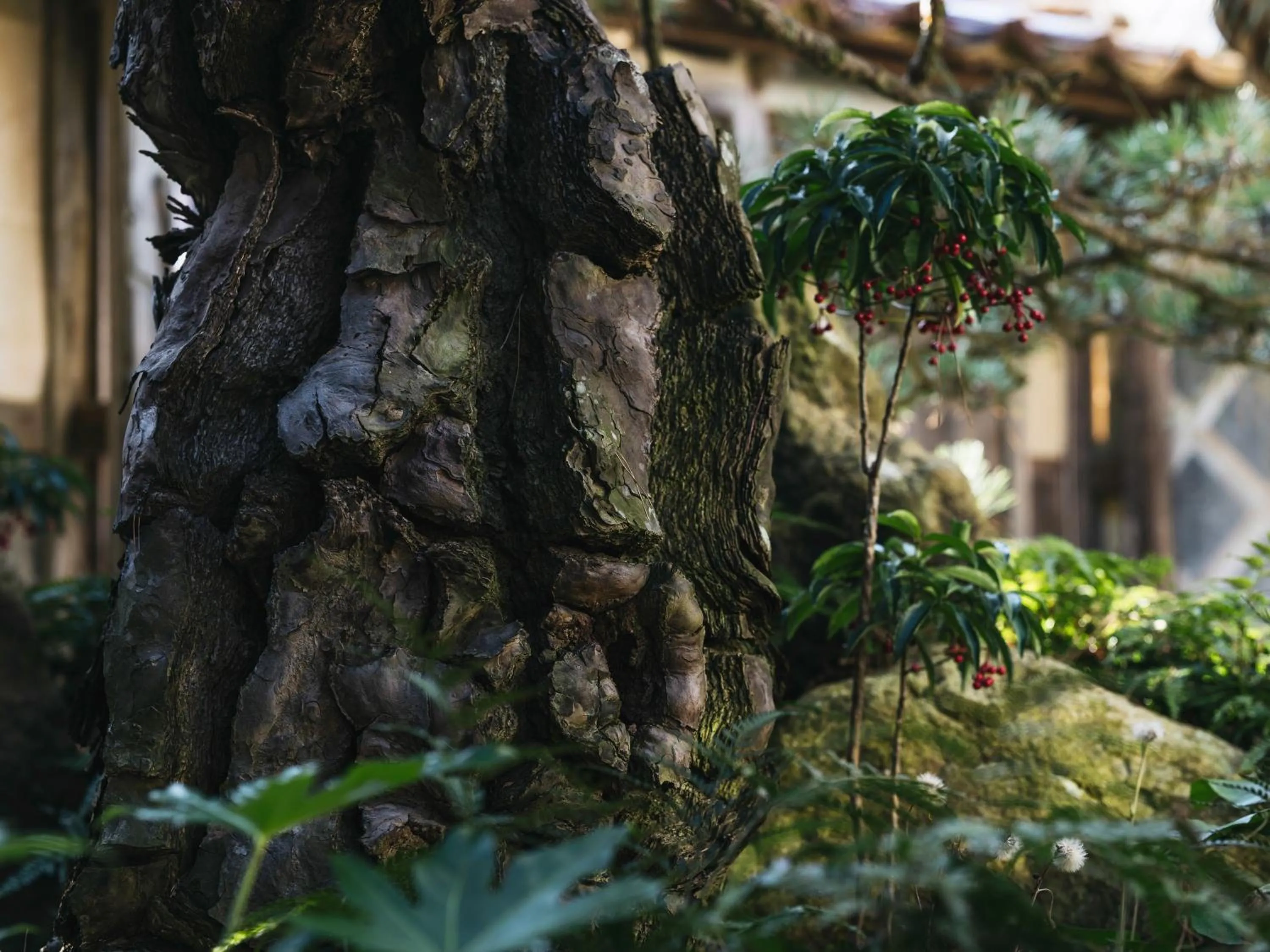 Property building in RITA Izumo Sagiura