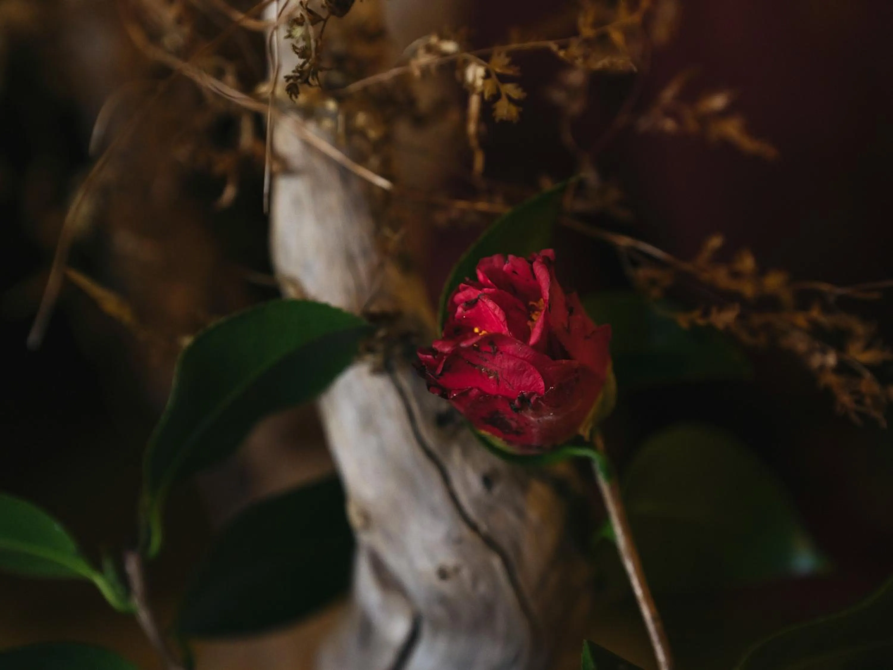 Other in RITA Izumo Sagiura