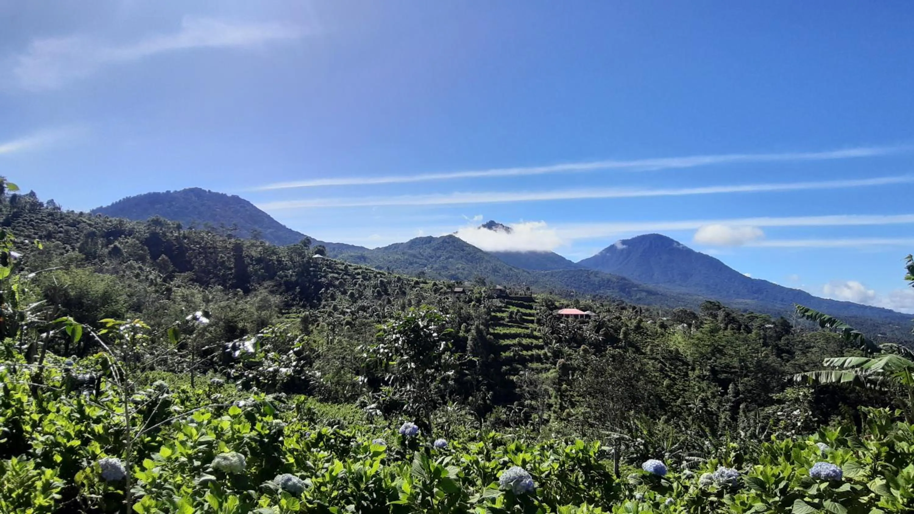 Facade/entrance in Camaradvipa Retreat Munduk