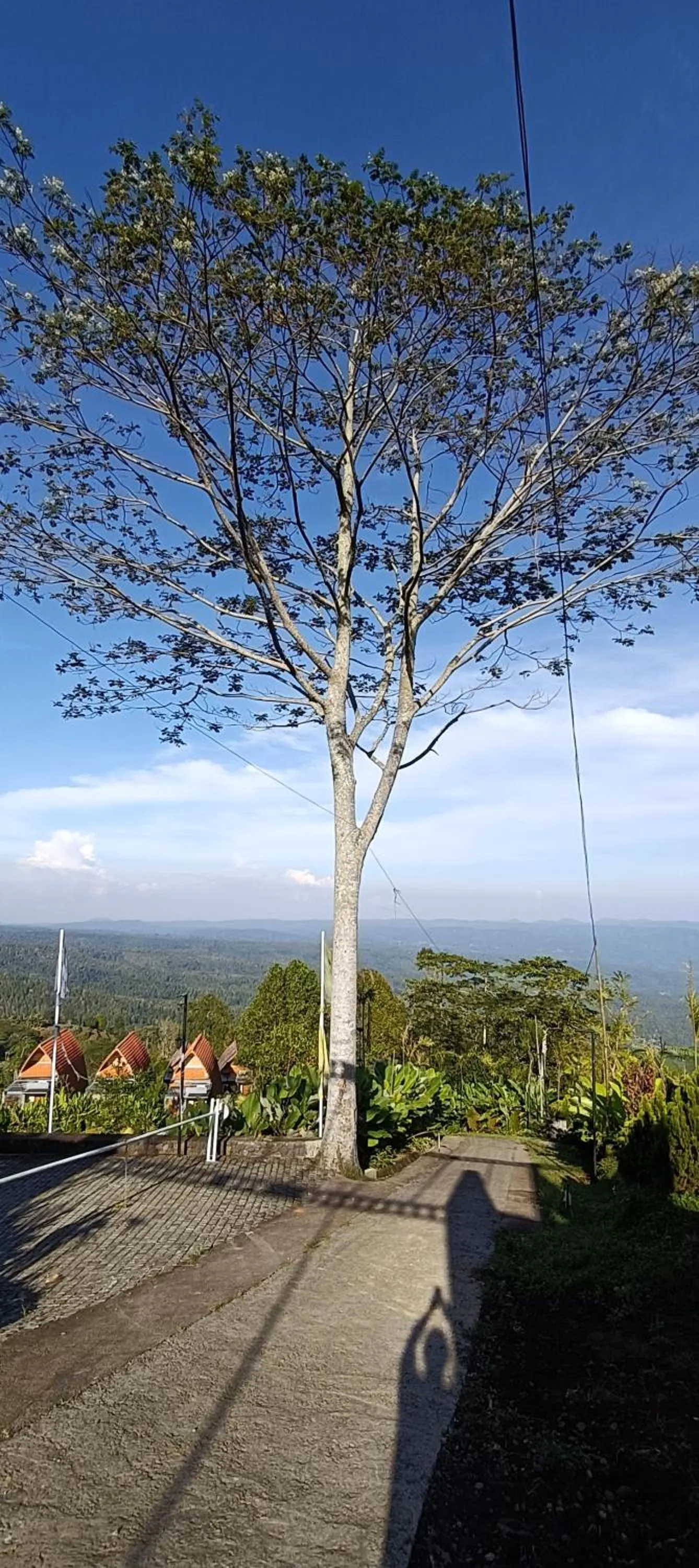 Camaradvipa Retreat Munduk