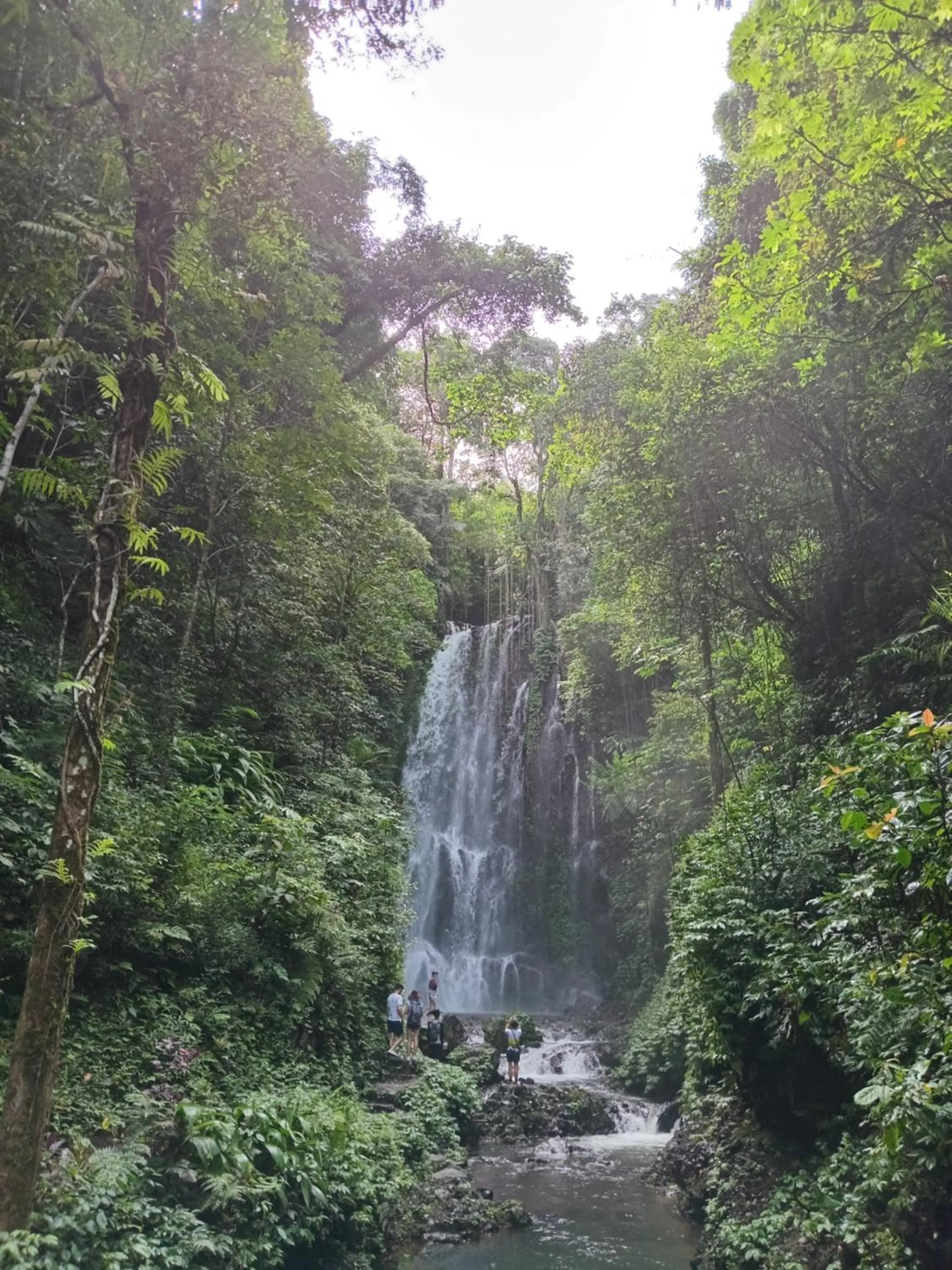 Activities in Camaradvipa Retreat Munduk