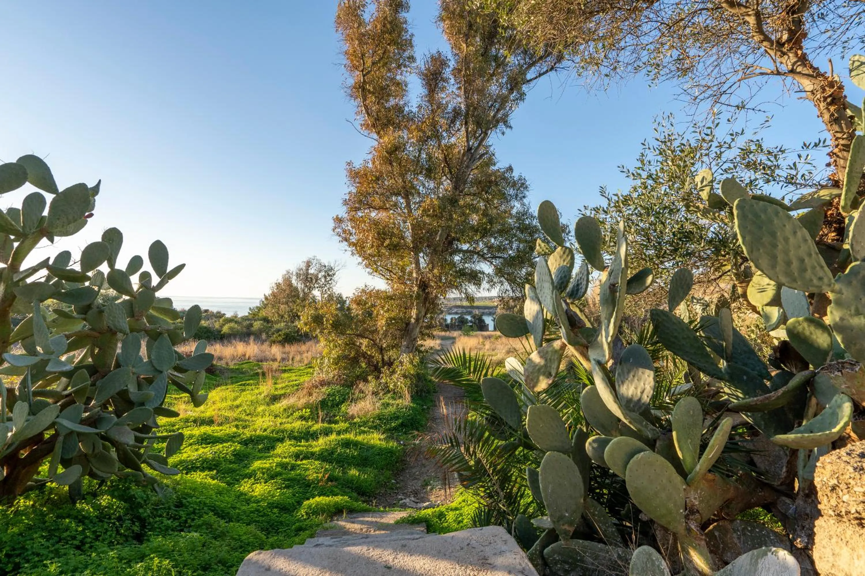 Natural landscape in GuestHost - Villa Torre Leporano a due passi dal mare
