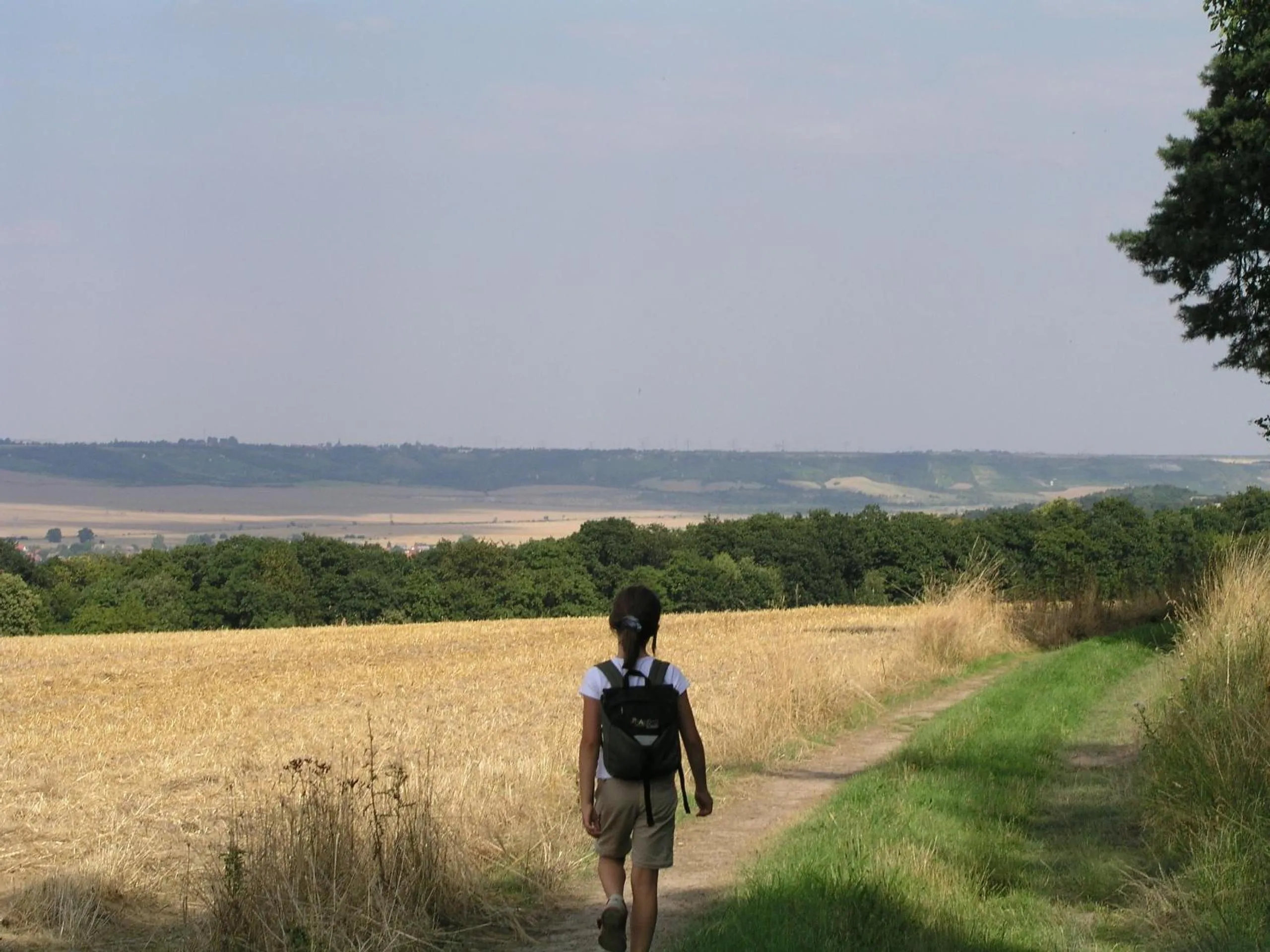 Off site in Hotel Unstruttal