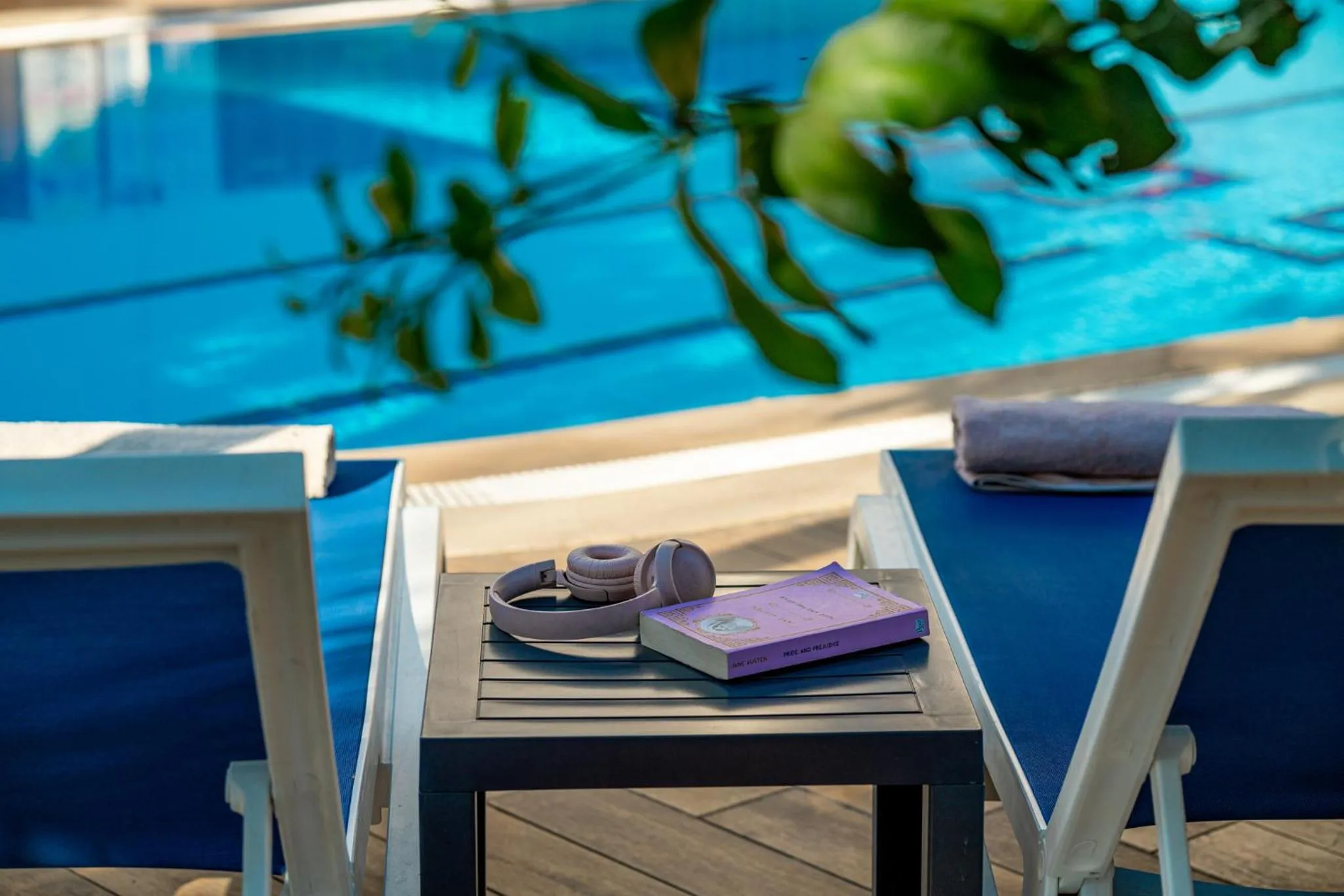 Swimming pool in oscar garden