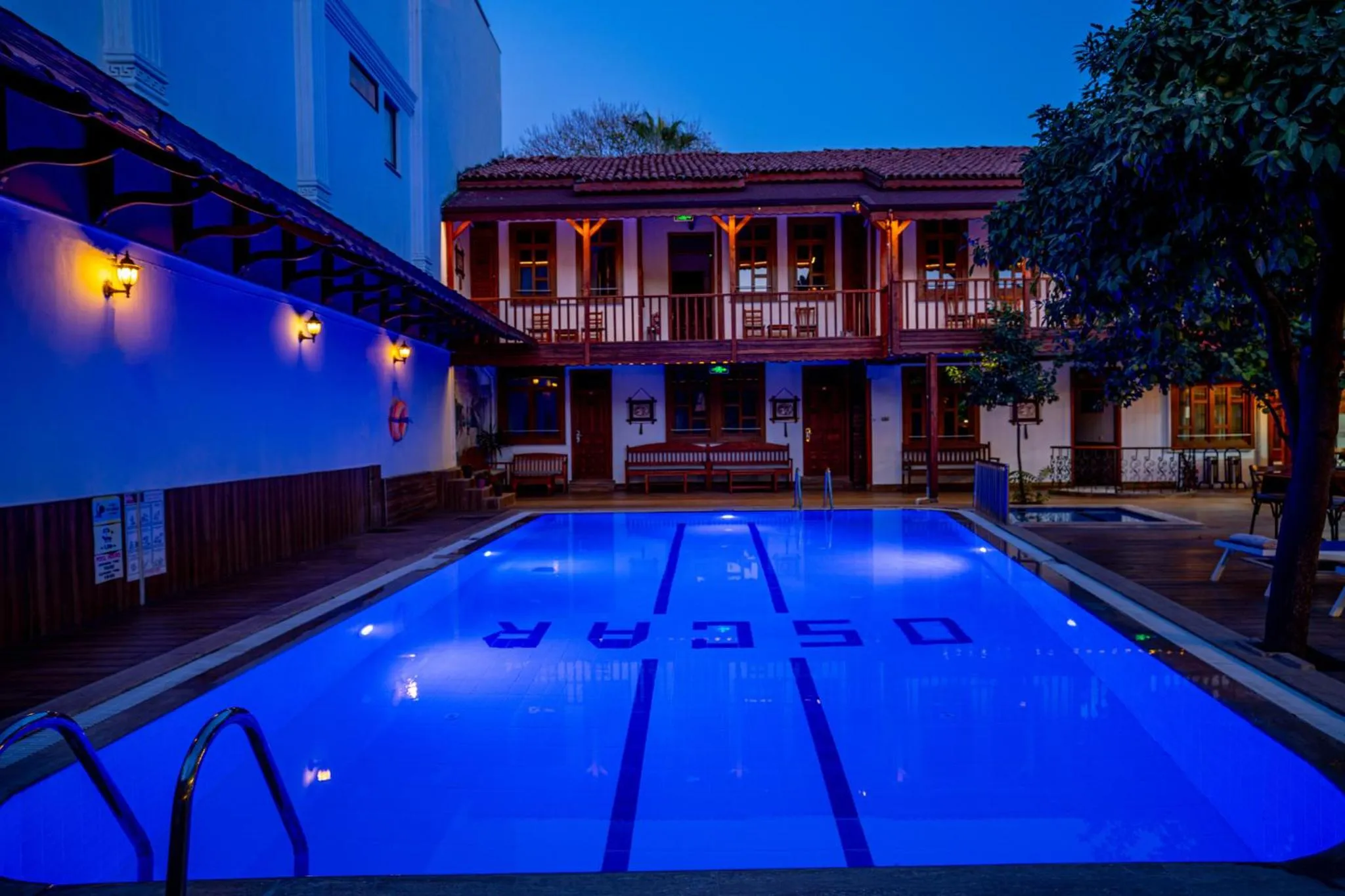 Night in oscar garden