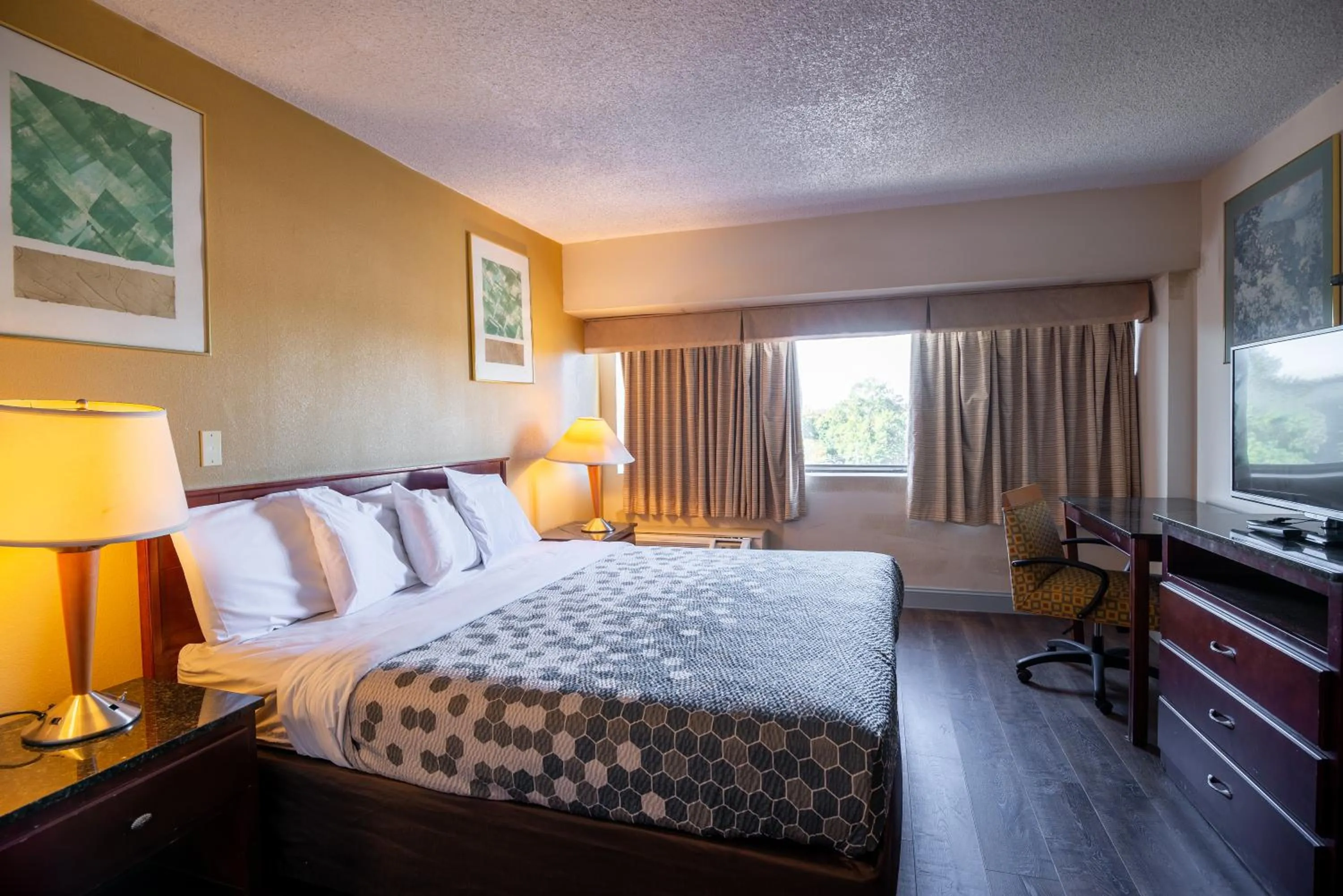 TV and multimedia in Dominion Inn and Suites