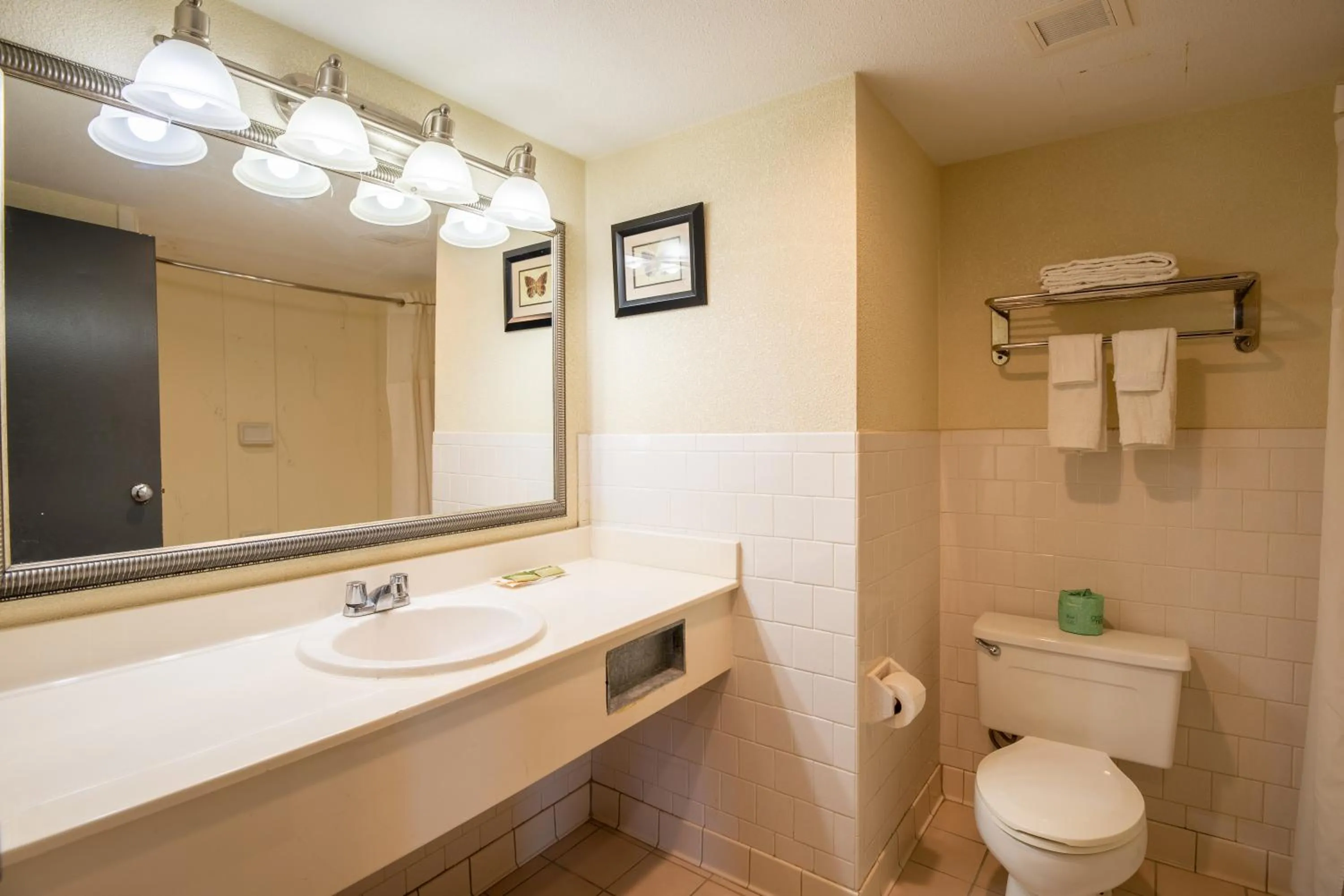 Shower in Dominion Inn and Suites