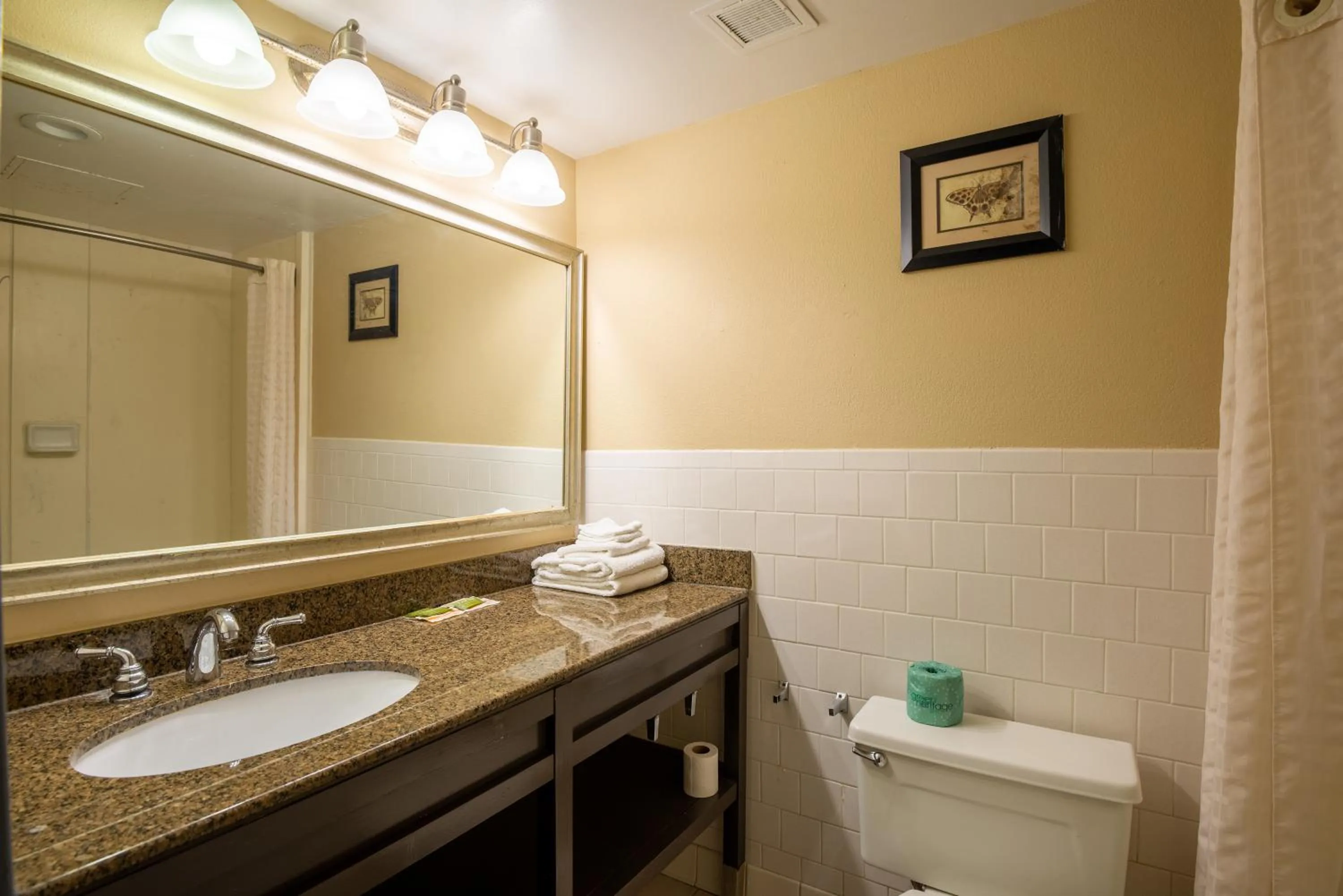 Toilet in Dominion Inn and Suites