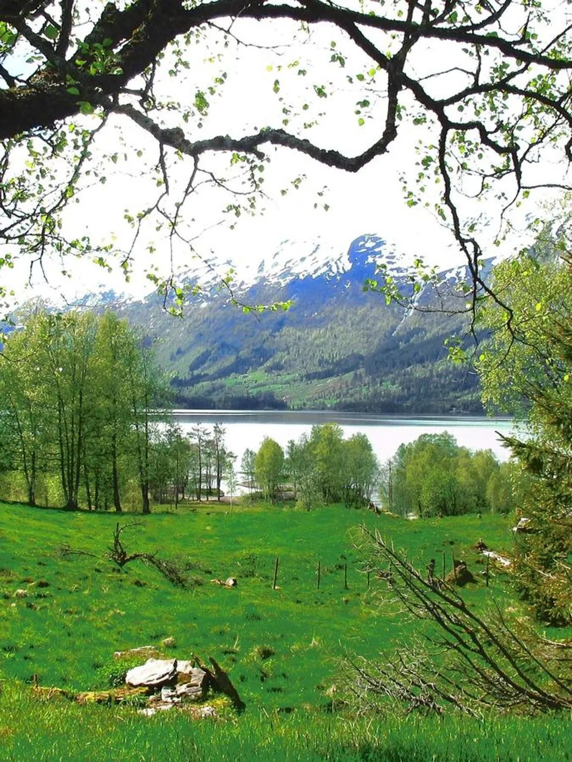 Fishing in Tuftegarden