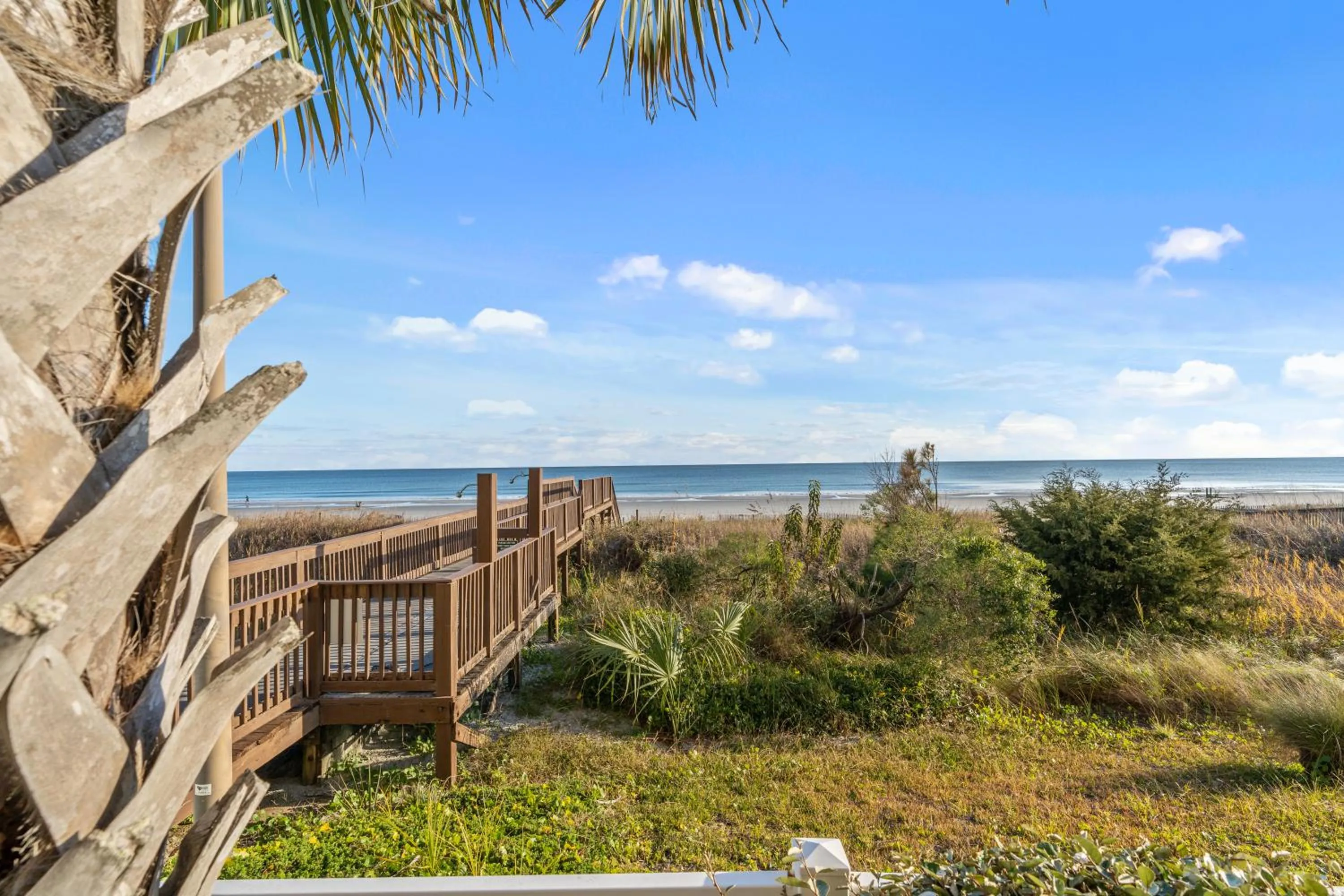 Spring in Crescent Beauty