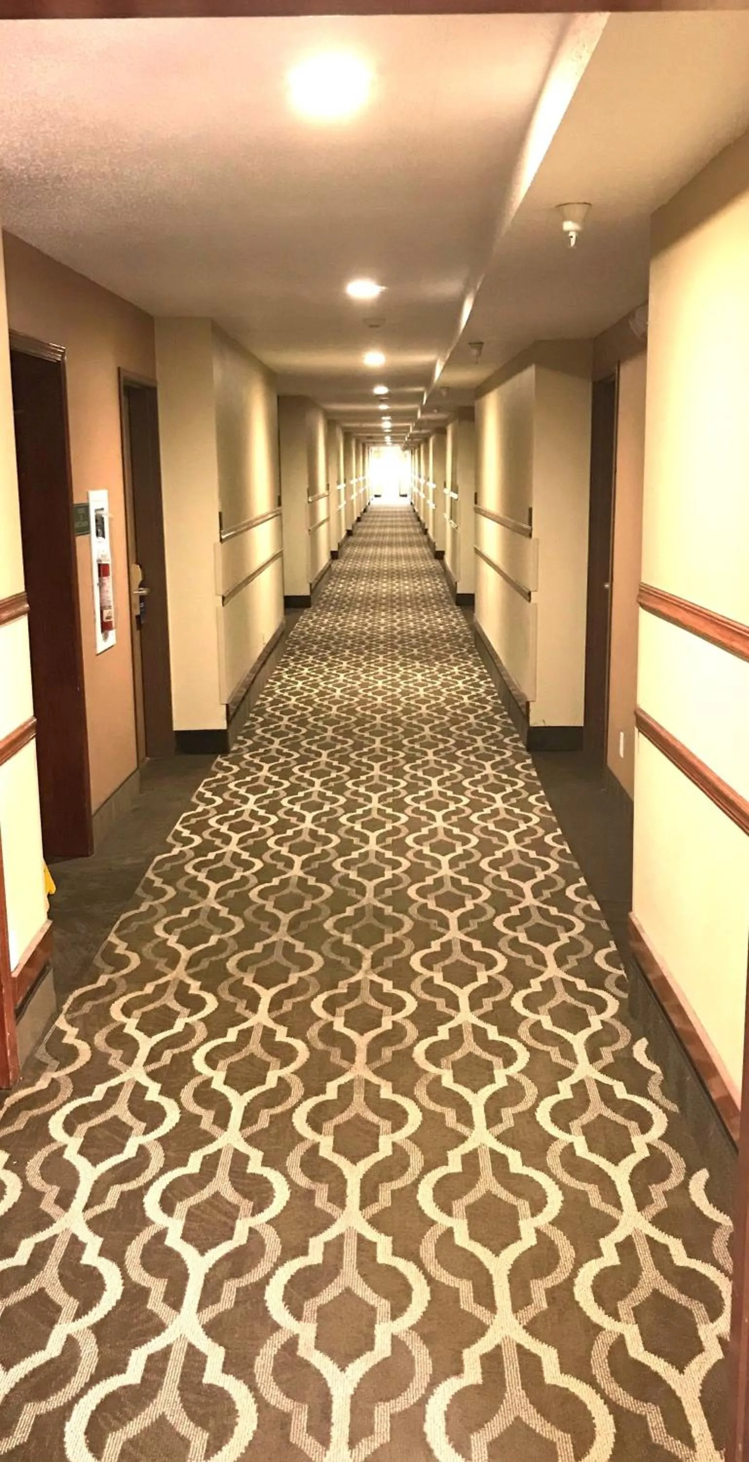 Business facilities in Comfort Inn & Suites Morton - Peoria