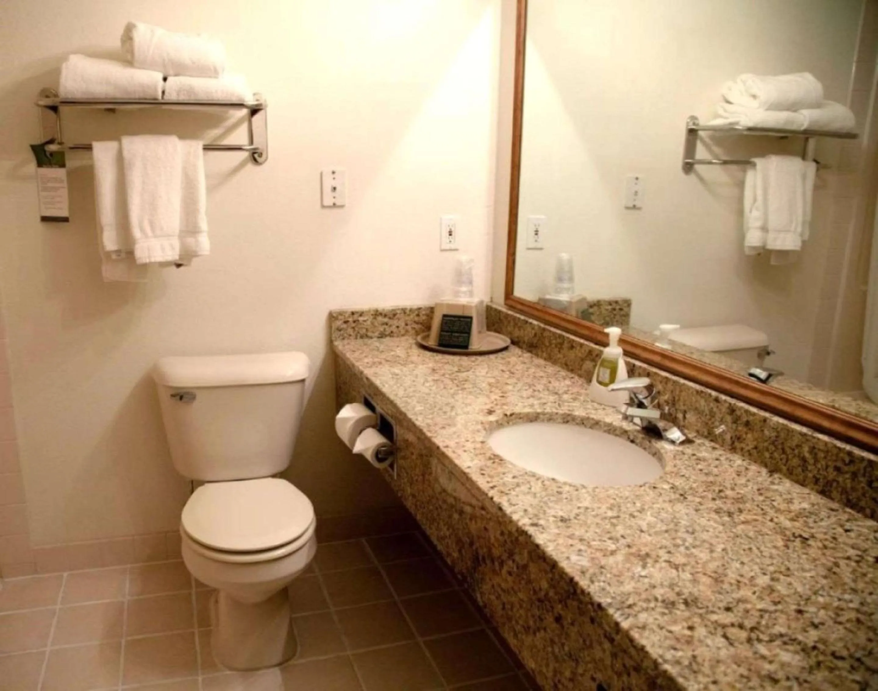 Toilet in Comfort Inn & Suites Morton - Peoria