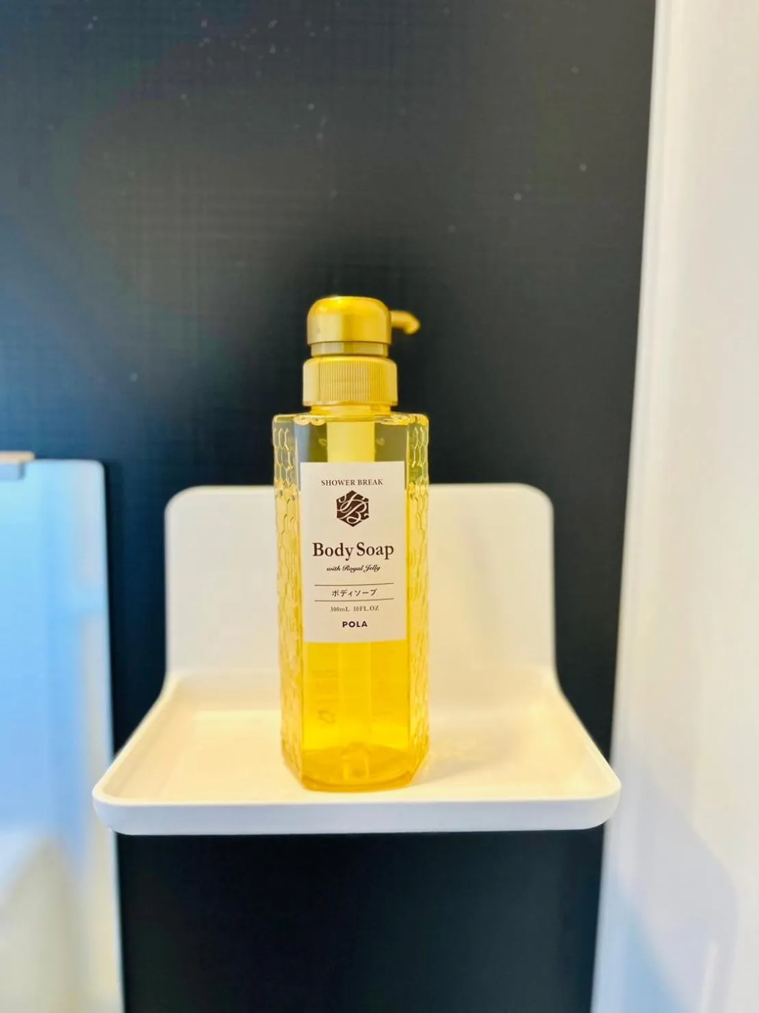 Bathroom in Megu Fuji Plus