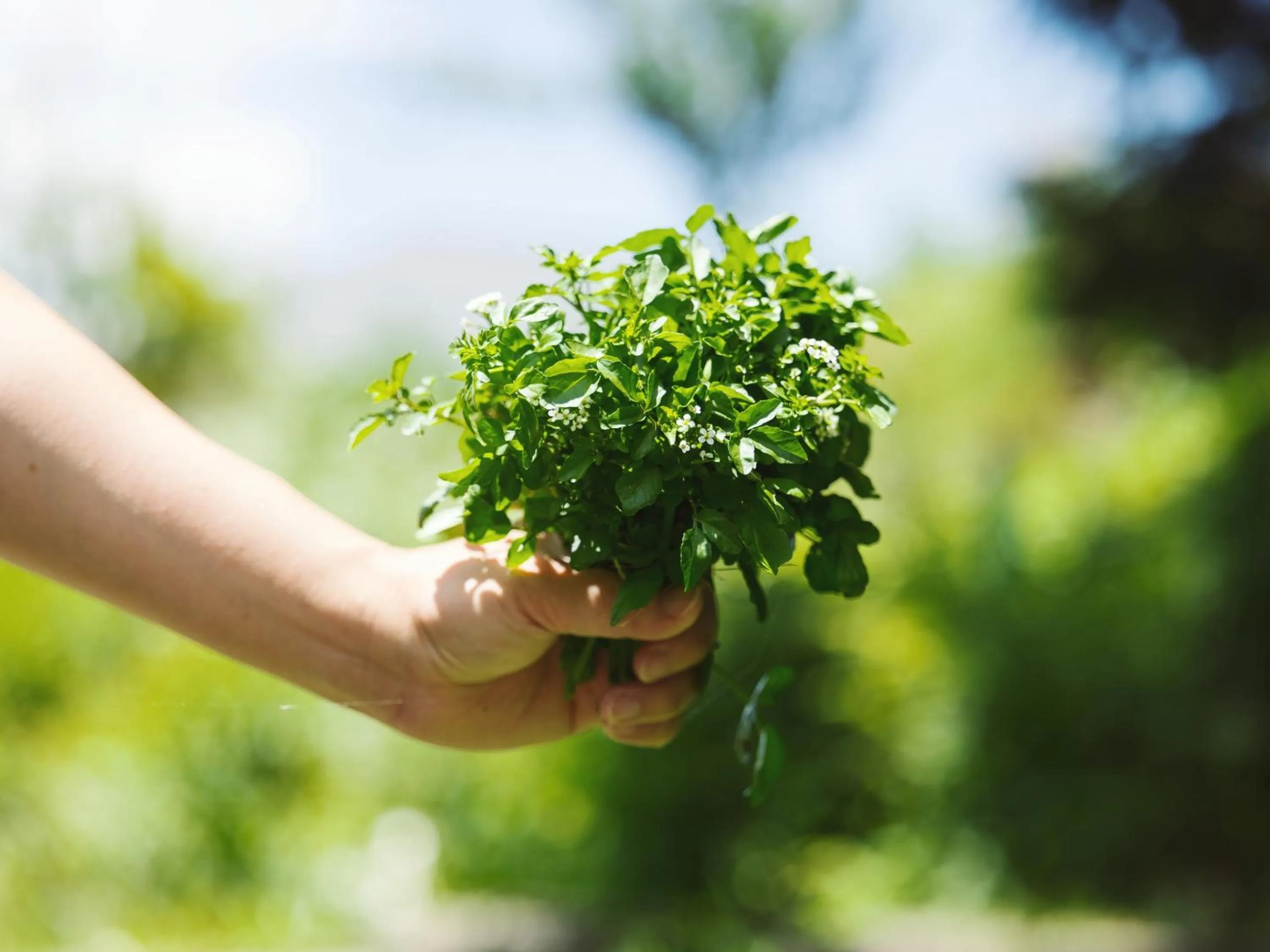 Other in Kiyosatokogen Country Inn The Classic