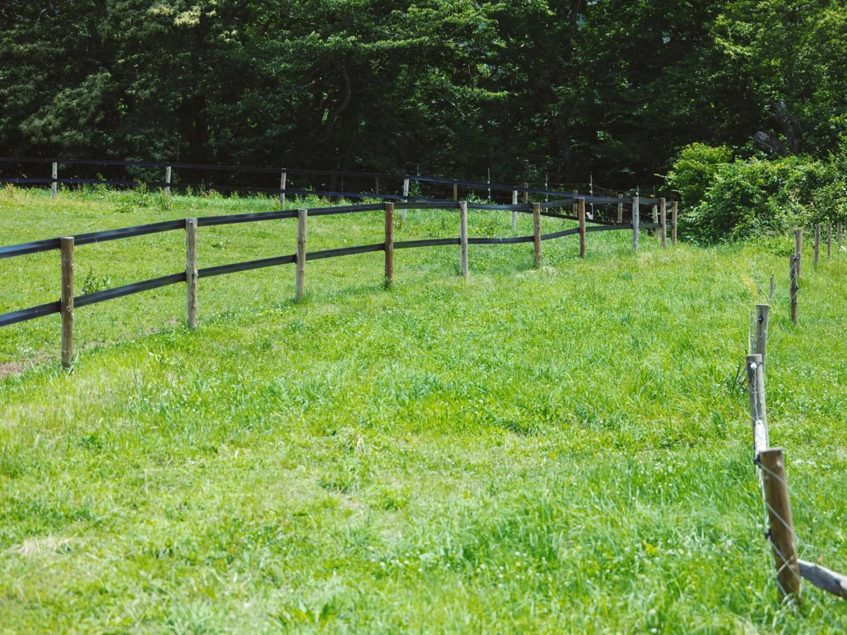 Natural landscape in Kiyosatokogen Country Inn The Classic