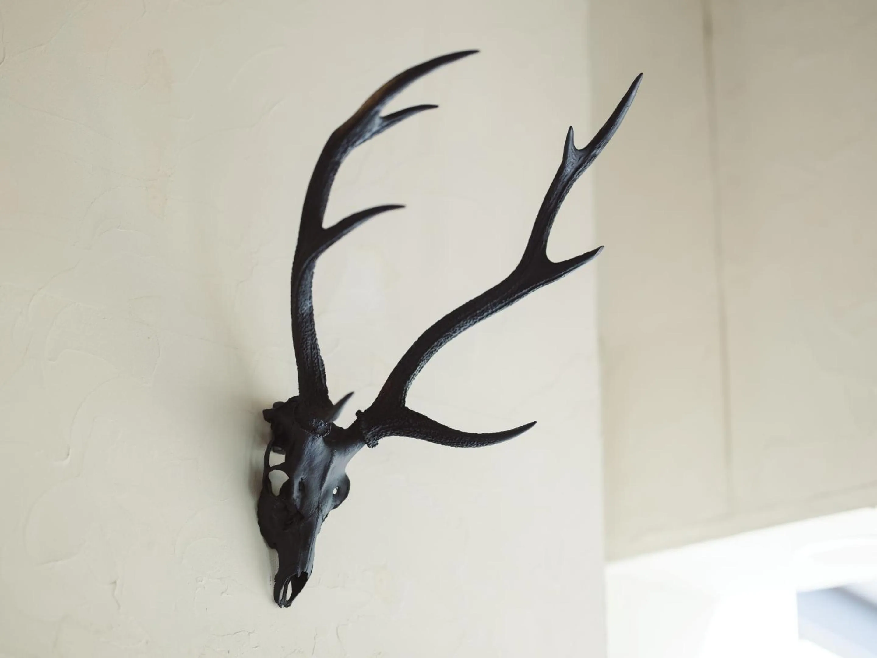 Area and facilities in Kiyosatokogen Country Inn The Classic