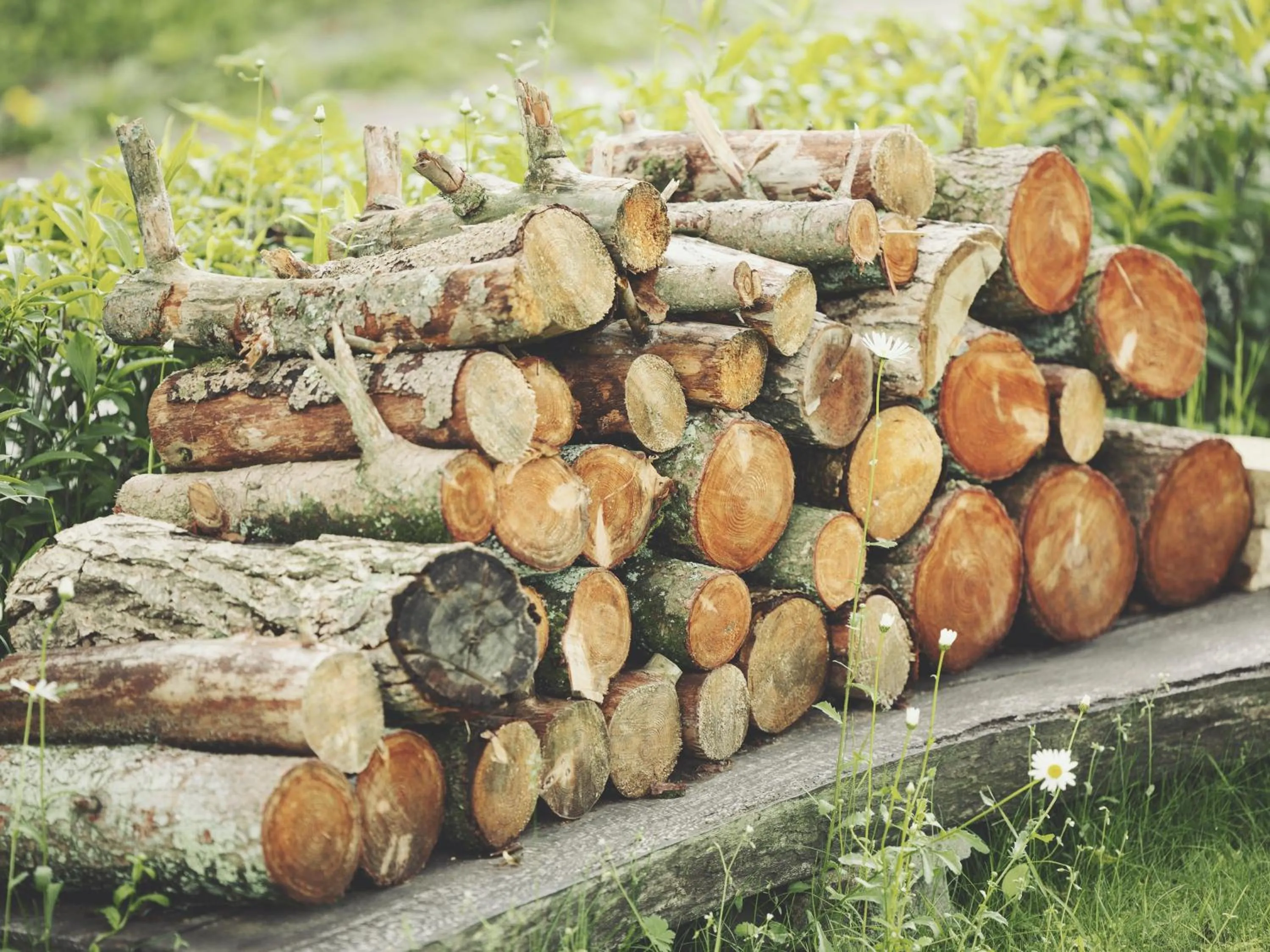 Decorative detail in Kiyosatokogen Country Inn The Classic