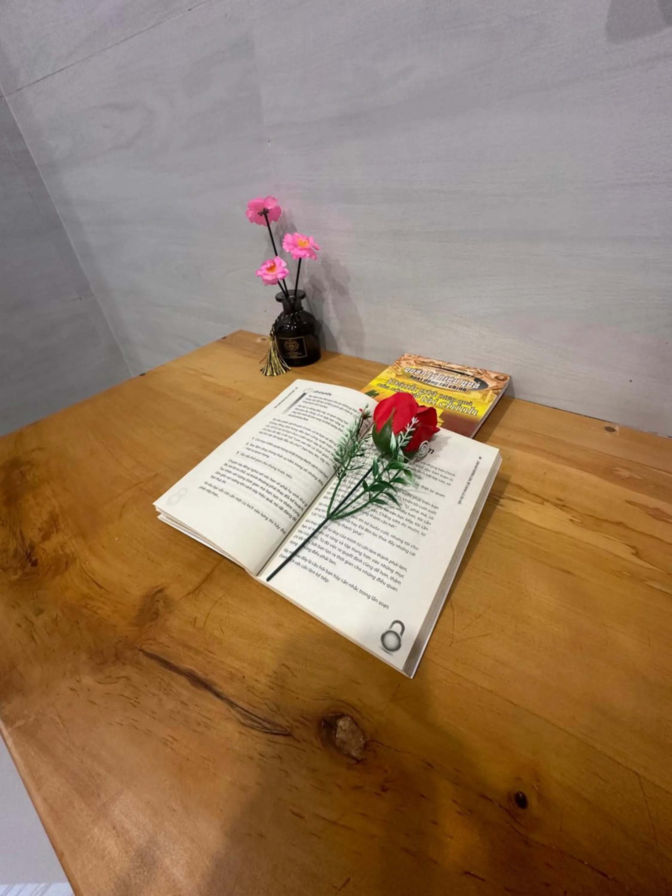 Property building in Homestay 1991