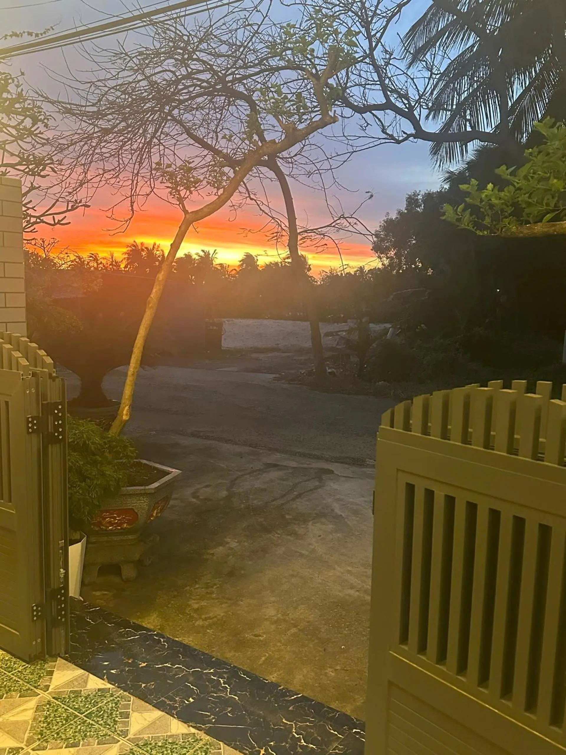 Natural landscape in Homestay 1991