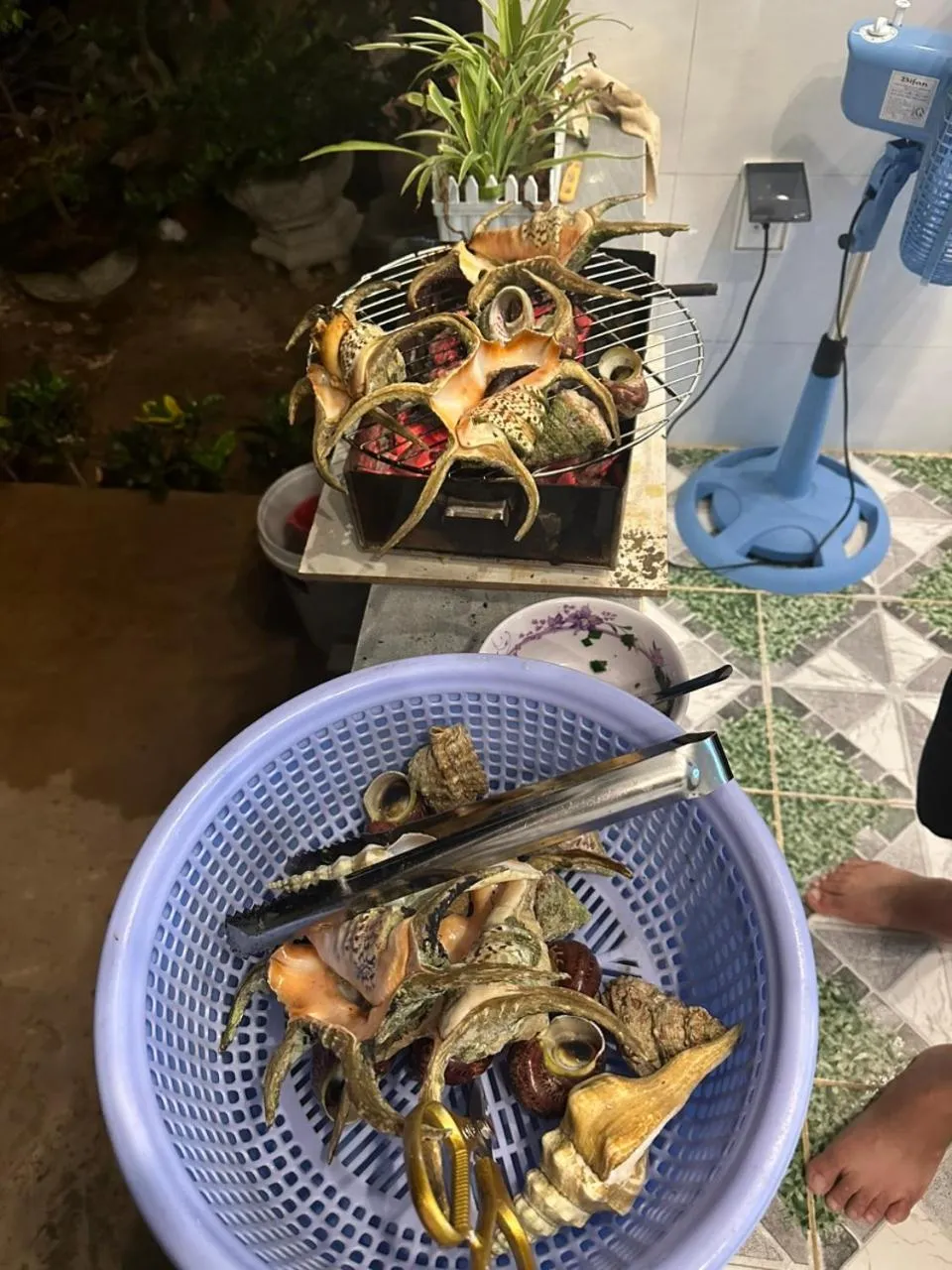 BBQ facilities in Homestay 1991