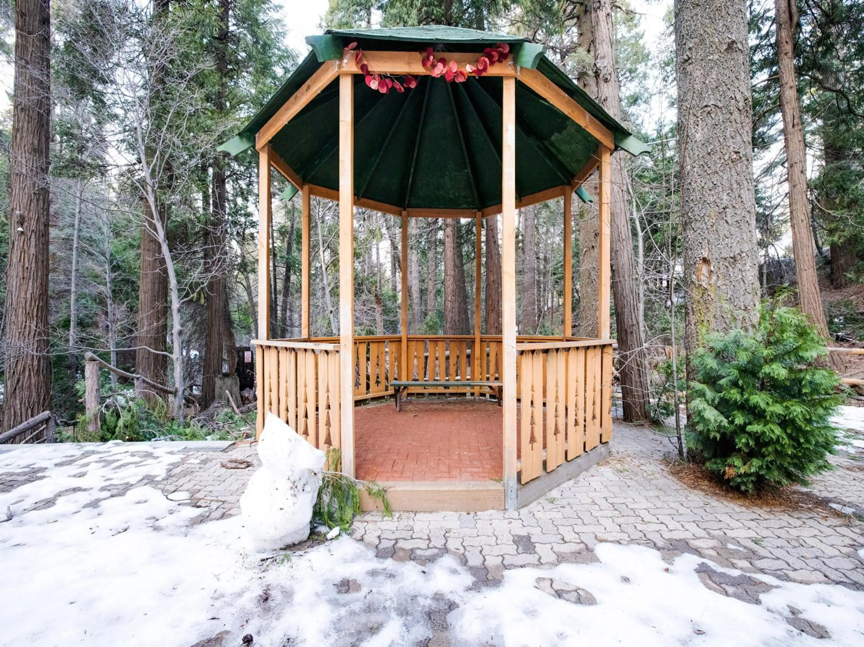 Facade/entrance in Arrowhead Tree Top Lodge