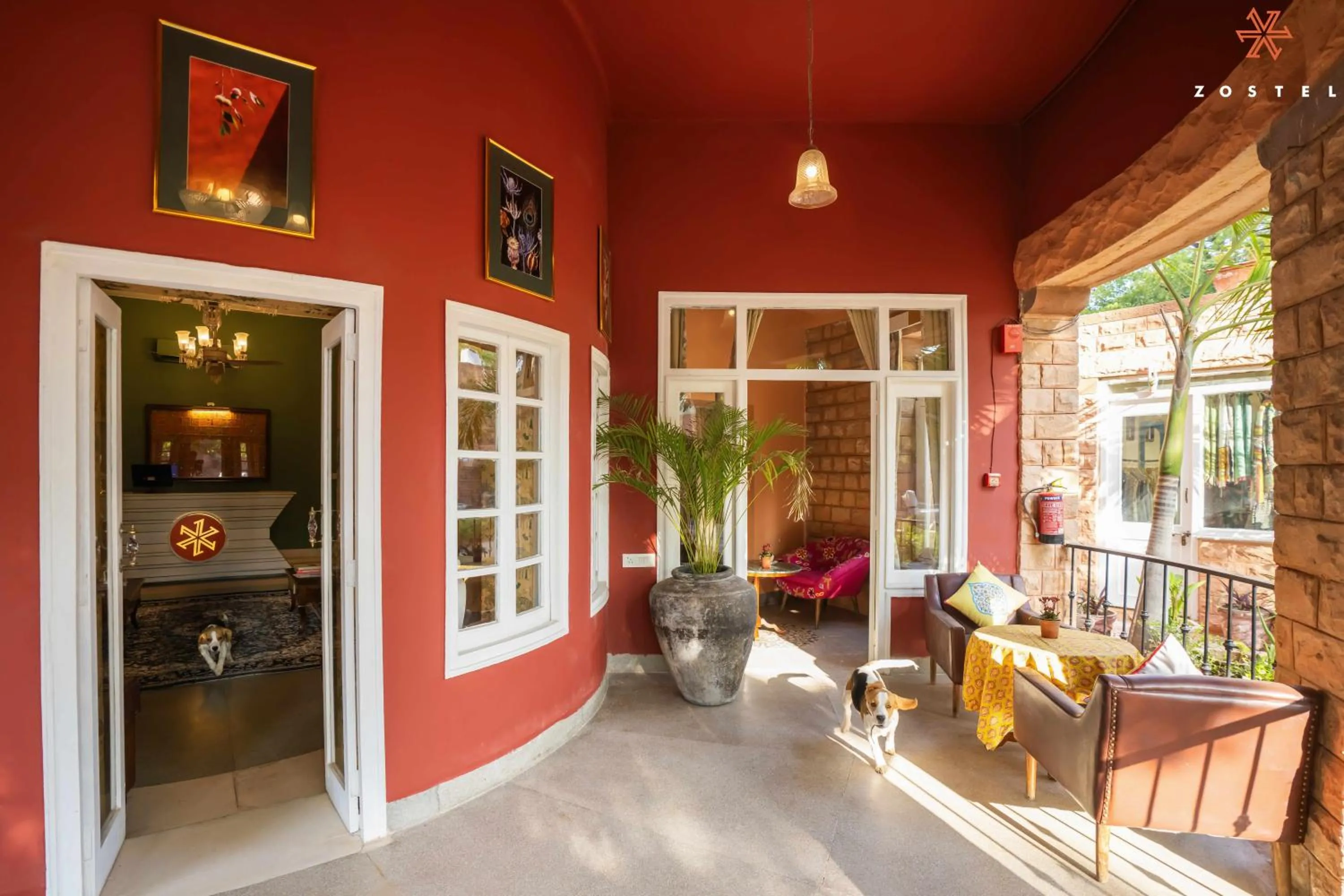 Balcony/Terrace in Zostel Jodhpur, Ratanada