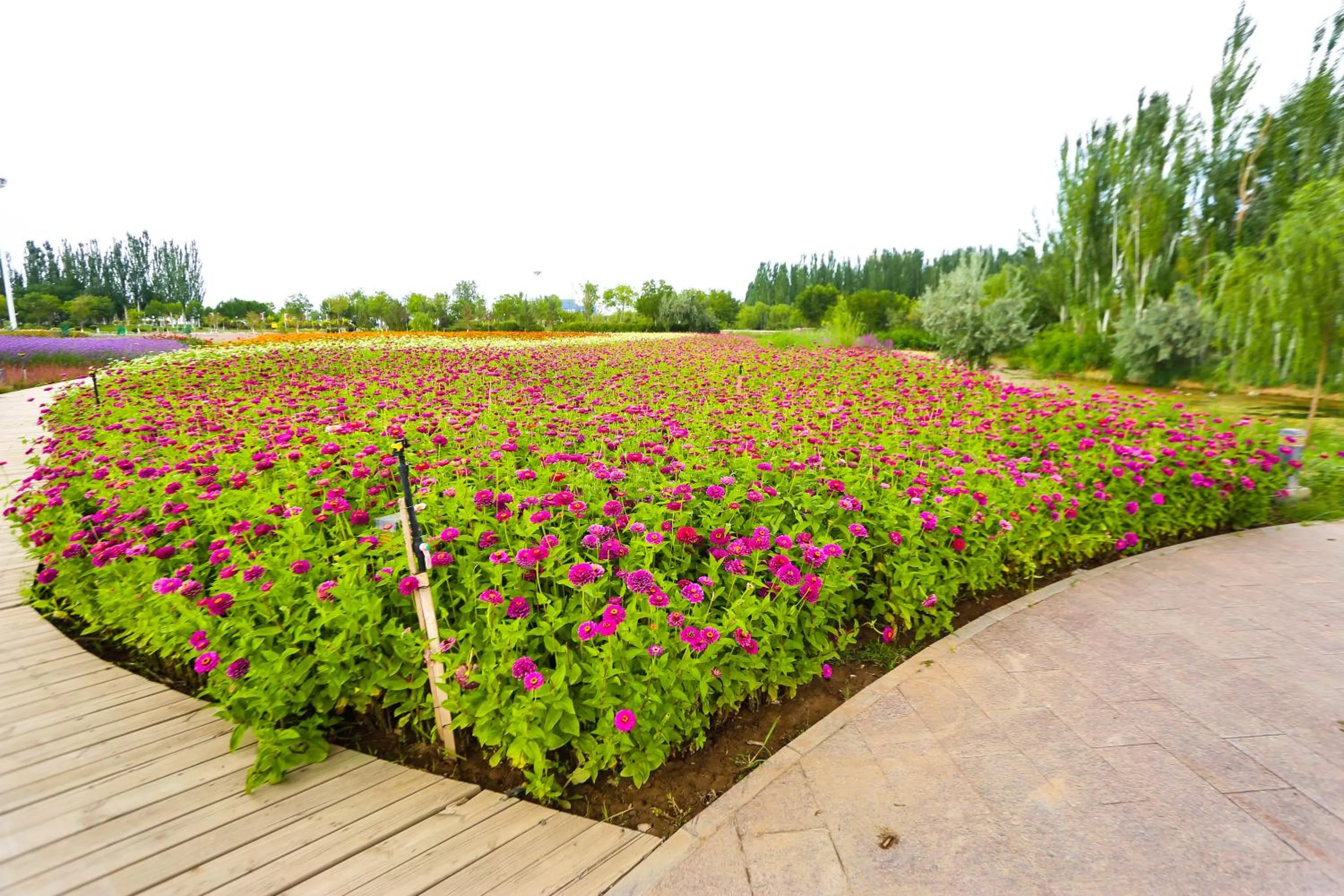 Primus Hotel Yinchuan