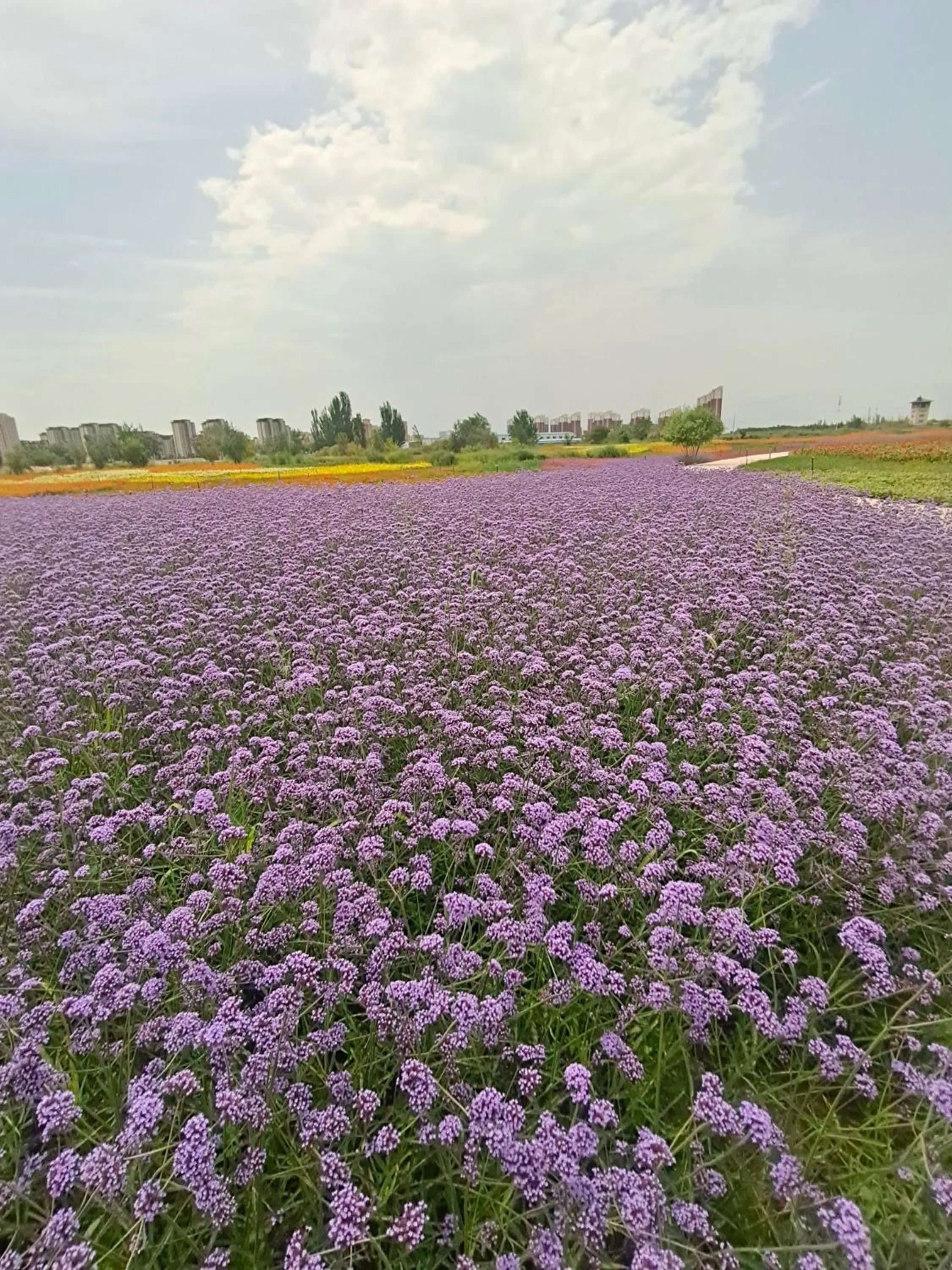 Primus Hotel Yinchuan