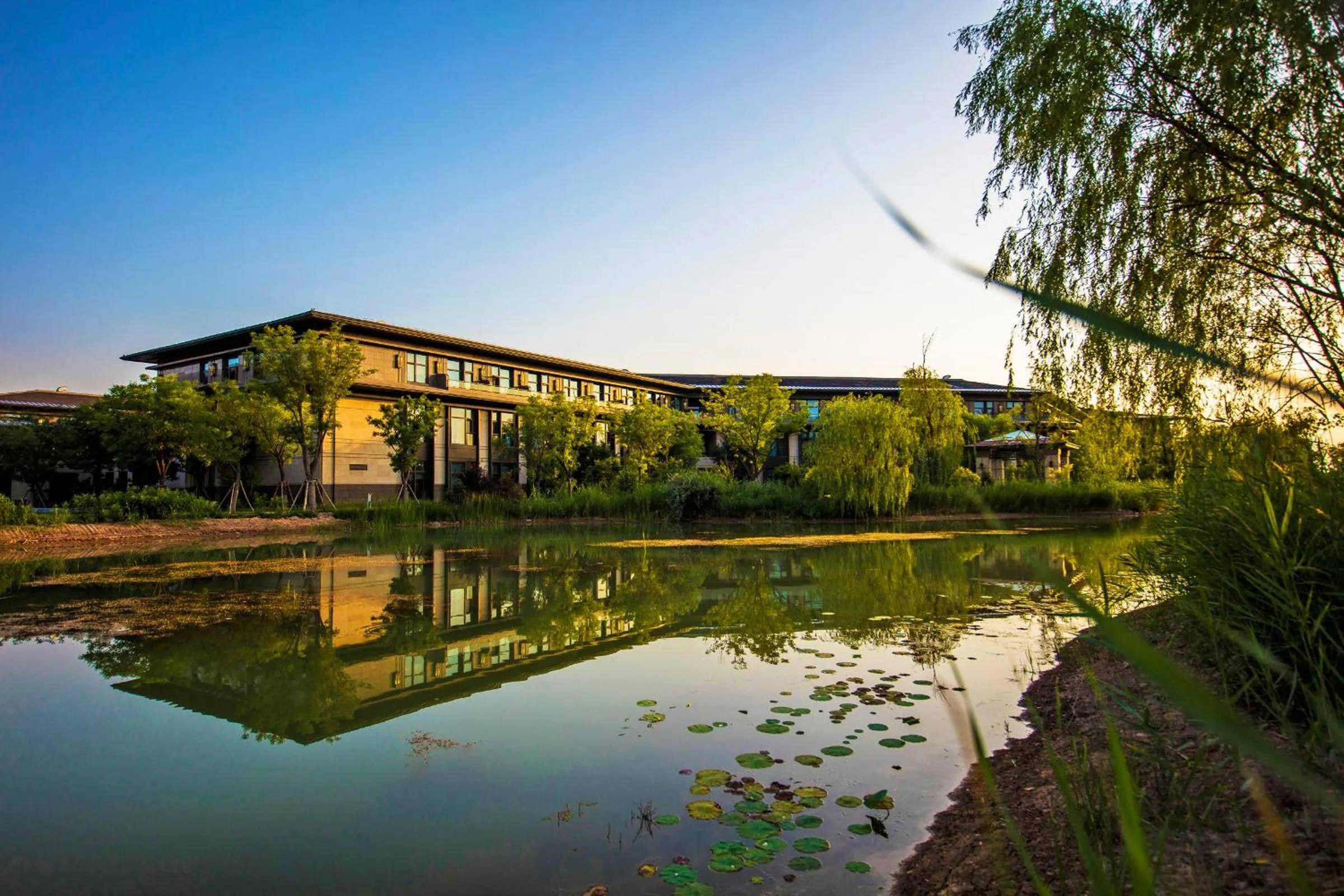 Other in Primus Hotel Yinchuan