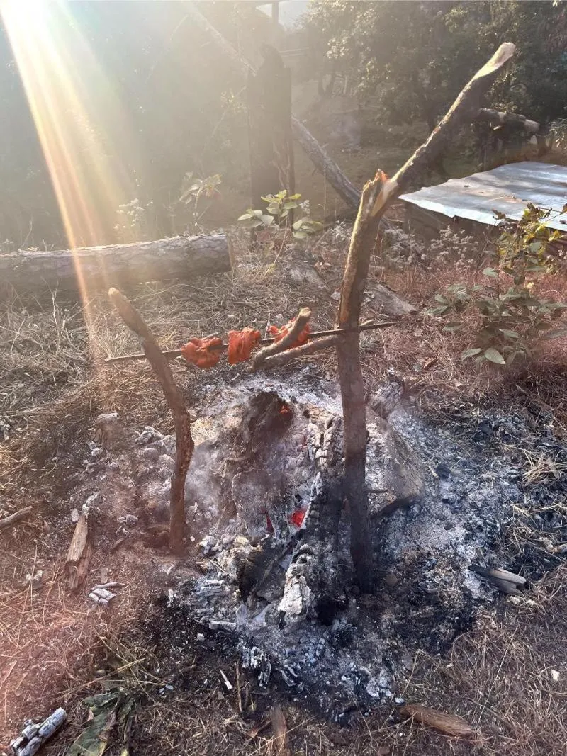 BBQ facilities in Glampinn Woods