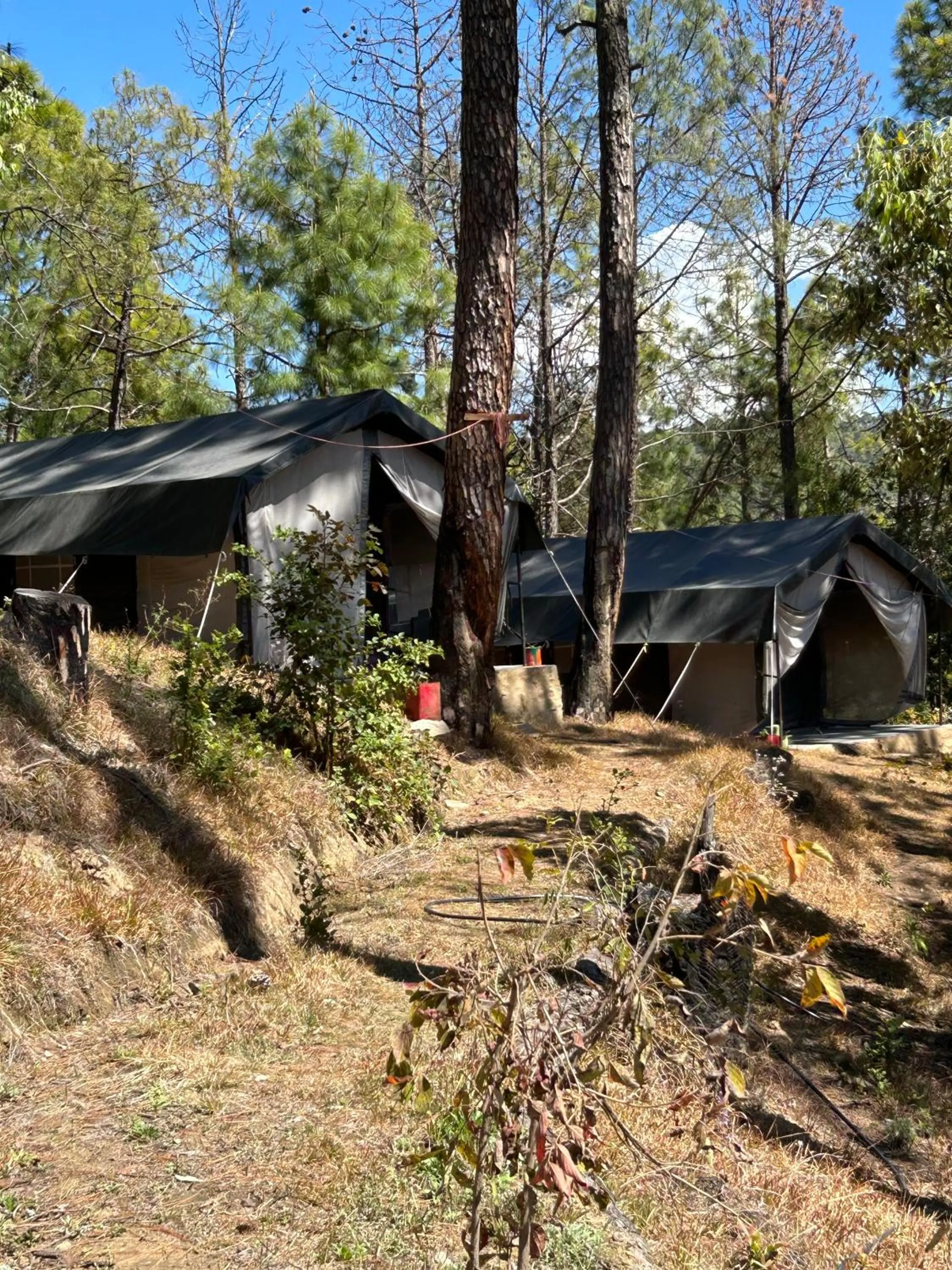 Property building in Glampinn Woods
