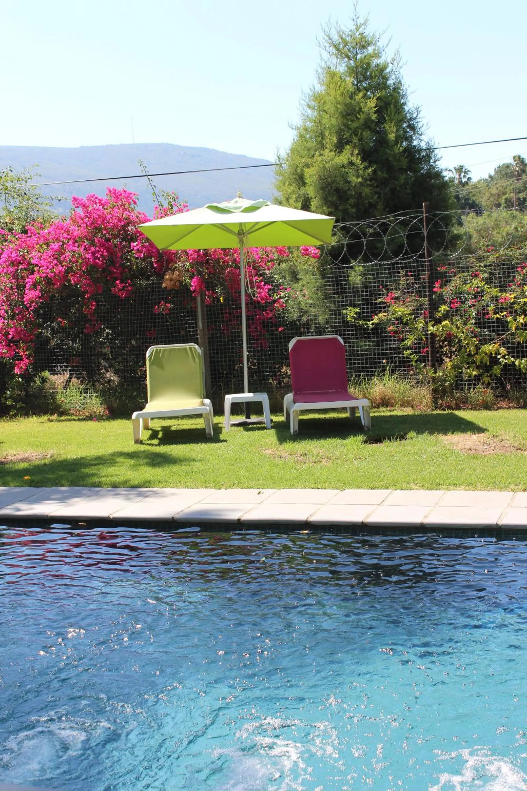 Pool view in Nuwerus Lodge Paarl