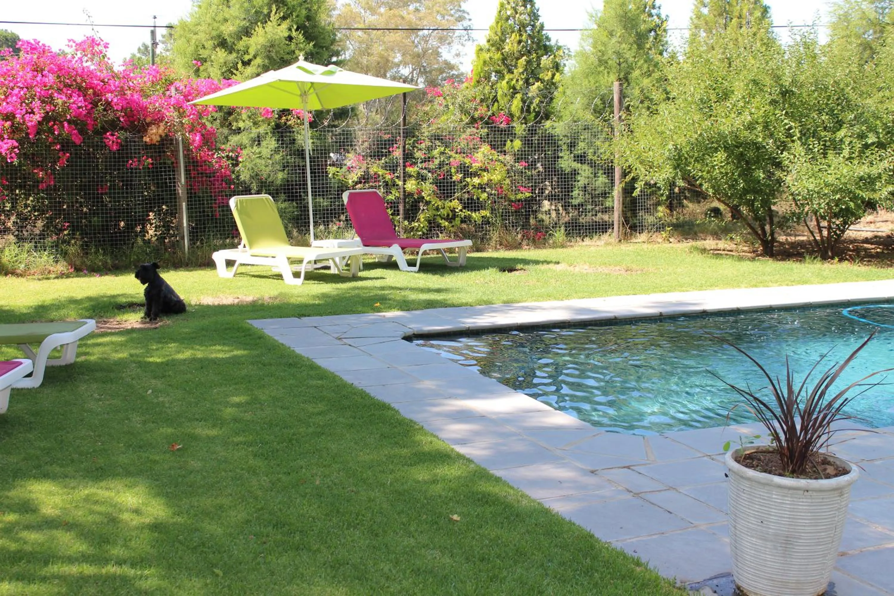 Property building in Nuwerus Lodge Paarl